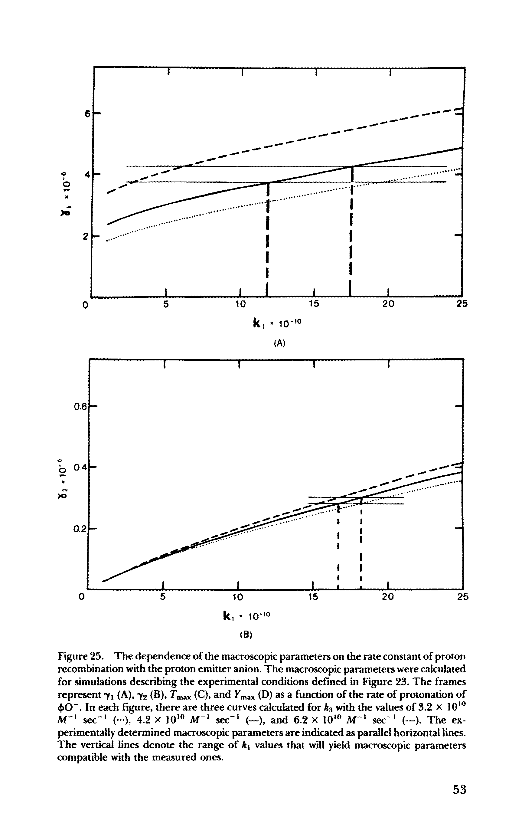 Figure 25. The dependence of the macroscopic parameters on the rate constant of proton recombination with the proton emitter anion. The macroscopic parameters were calculated for simulations describing the experimental conditions defined in Figure 23. The frames represent y, (A), y3 (B), Tmax (C), and Fmax (D) as a function of the rate of protonation of <t>CT. In each figure, there are three curves calculated for k3 with the values of 3.2 x lO10 Af"1 sec-1 ( ), 4.2 x lO10 Af"1 sec-1 (—), and 6.2 x 1010 Af"1 sec 1 (—). The experimentally determined macroscopic parameters are indicated as parallel horizontal lines. The vertical lines denote the range of A, values that will yield macroscopic parameters compatible with the measured ones.