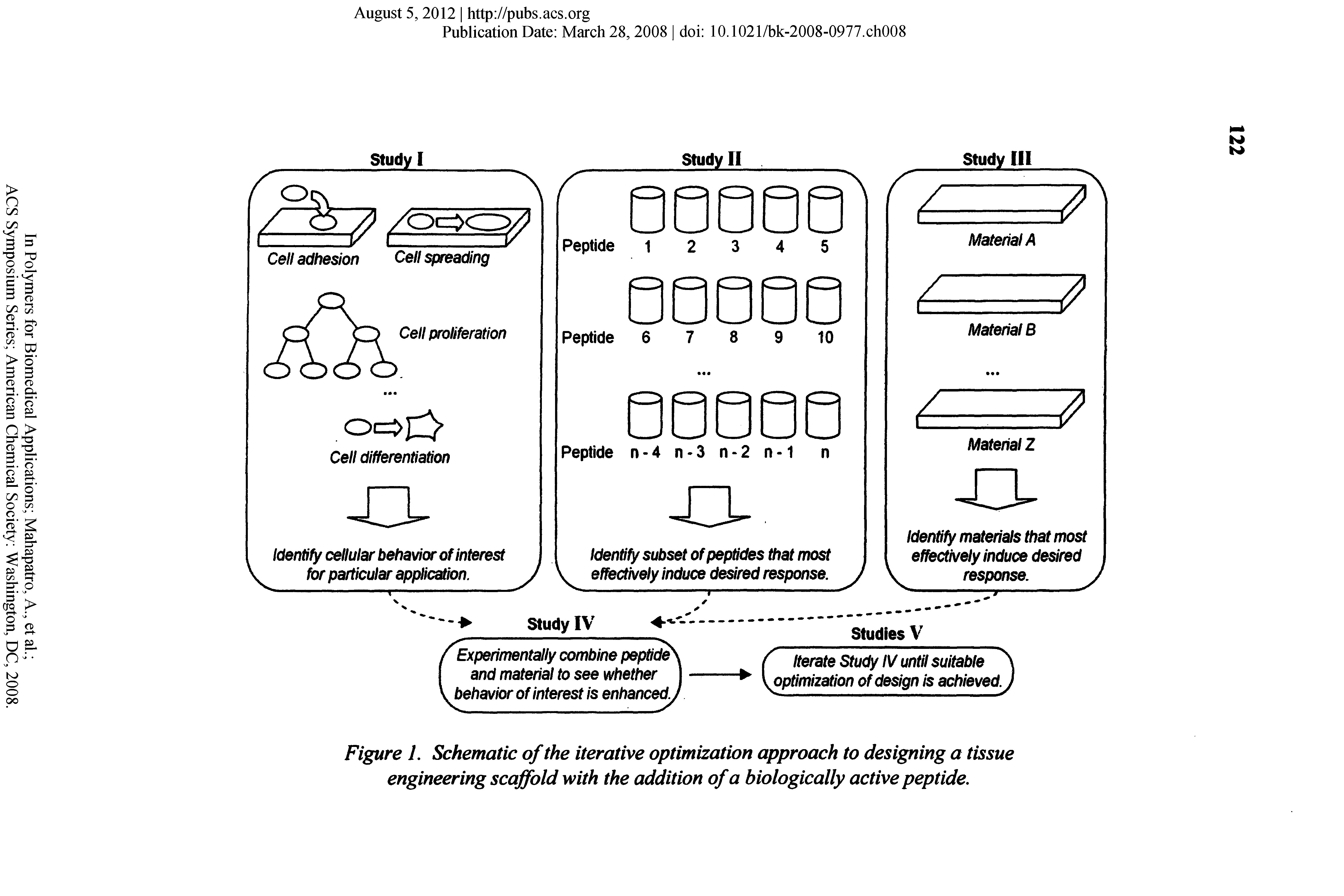 Figure 1. Schematic of the iterative optimization approach to designing a tissue engineering scaffold with the addition of a biologically active peptide.