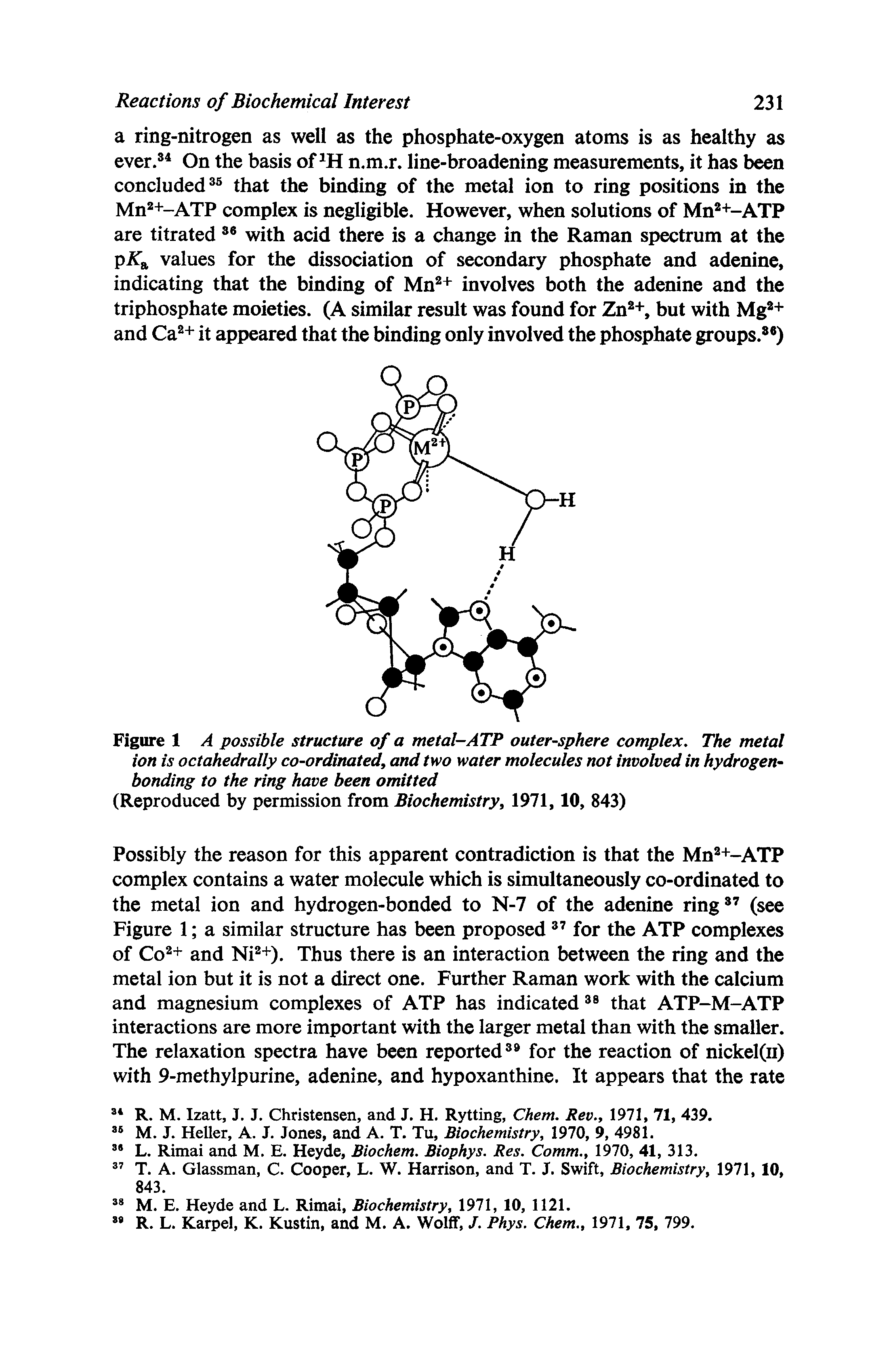 Figure 1 A possible structure of a metal-ATP outer-sphere complex. The metal ion is octahedrally co-ordinated, and two water molecules not involved in hydrogenbonding to the ring have been omitted (Reproduced by permission from Biochemistry, 1971,10, 843)...