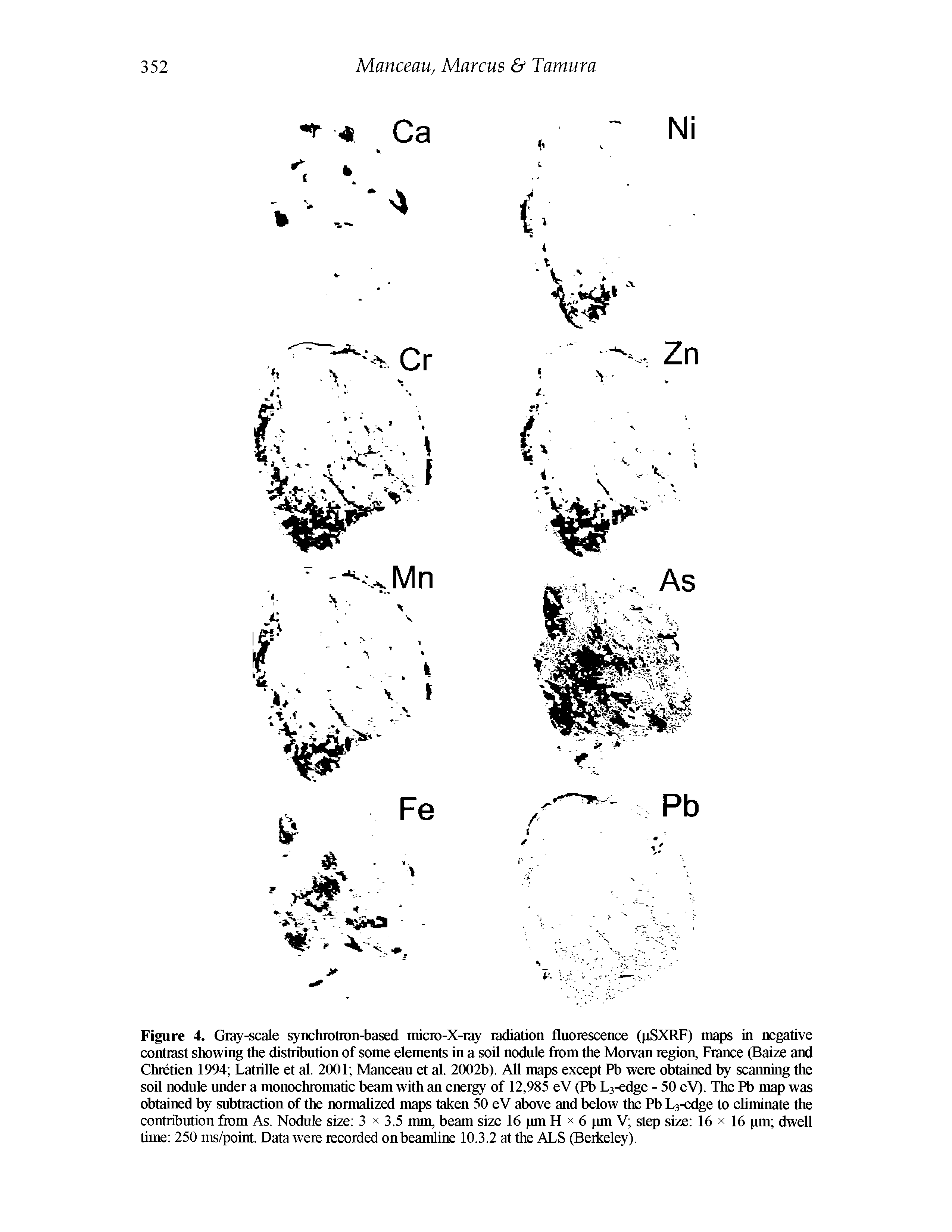Figure 4. Gray-scale synchrotron-based micro-X-ray radiation fluorescence (pSXRF) maps in negative contrast showing the distribution of some elements in a soil nodule from the Morvan region, France (Baize and Chretien 1994 Latrille et al. 2001 Manceau et al. 2002b). All maps except Fb were obtained by scanning the soil nodule under a monochromatic beam with an energy of 12,985 eV (Pb L3-edge - 50 eV). The Pb map was obtained by subtraction of the normalized maps taken 50 eV above and below the Pb Le-edge to eliminate the contribution from As. Nodule size 3 x 3.5 mm, beam size 16 pm H x 6 pm V step size 16 x 16 pm dwell time 250 ms/point. Data were recorded on beamline 10.3.2 at the ALS (Beikeley).