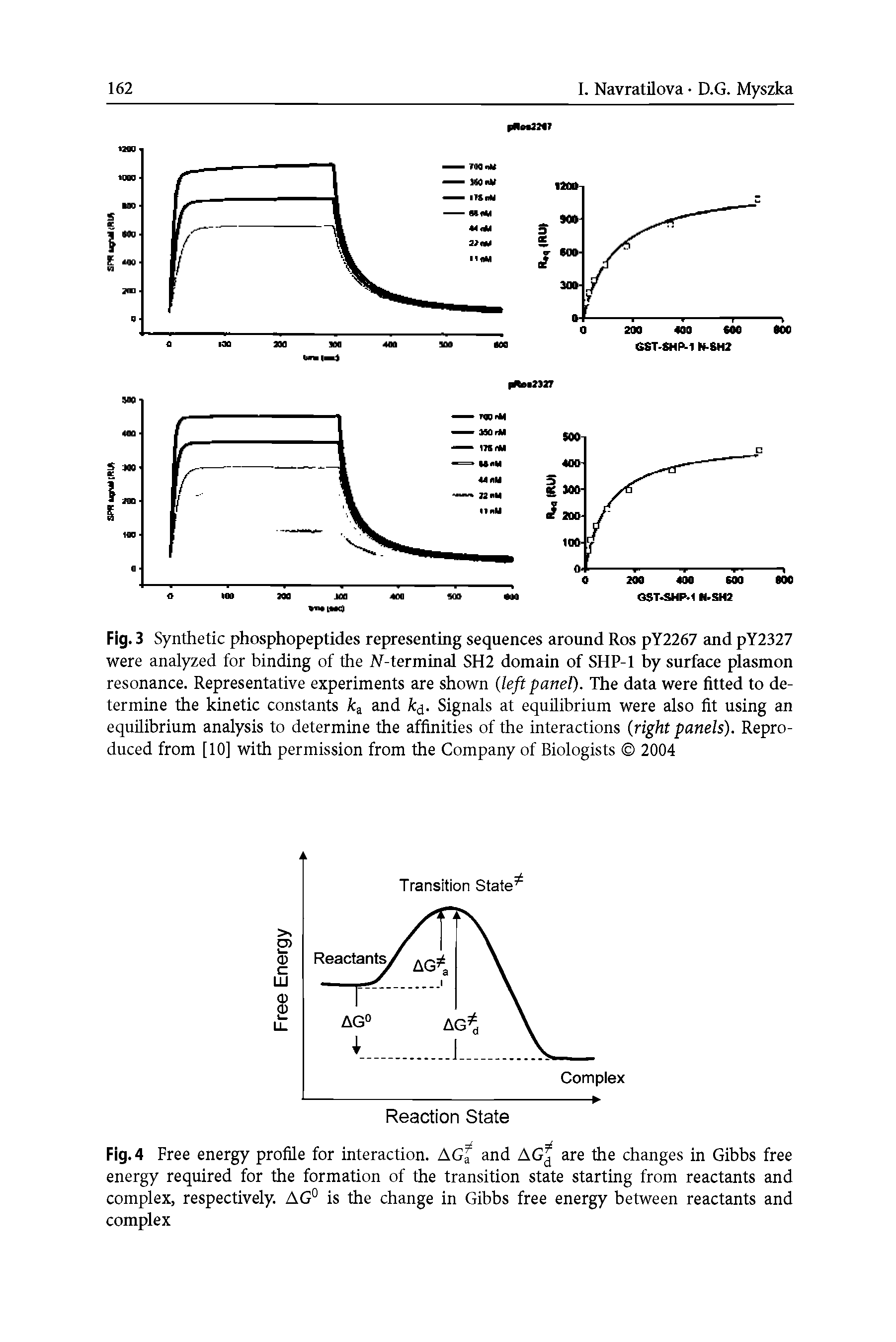 Fig. 4 Free energy profile for interaction. Acf and AG are the changes in Gibbs free energy required for the formation of the transition state starting from reactants and complex, respectively. AG° is the change in Gibbs free energy between reactants and complex...