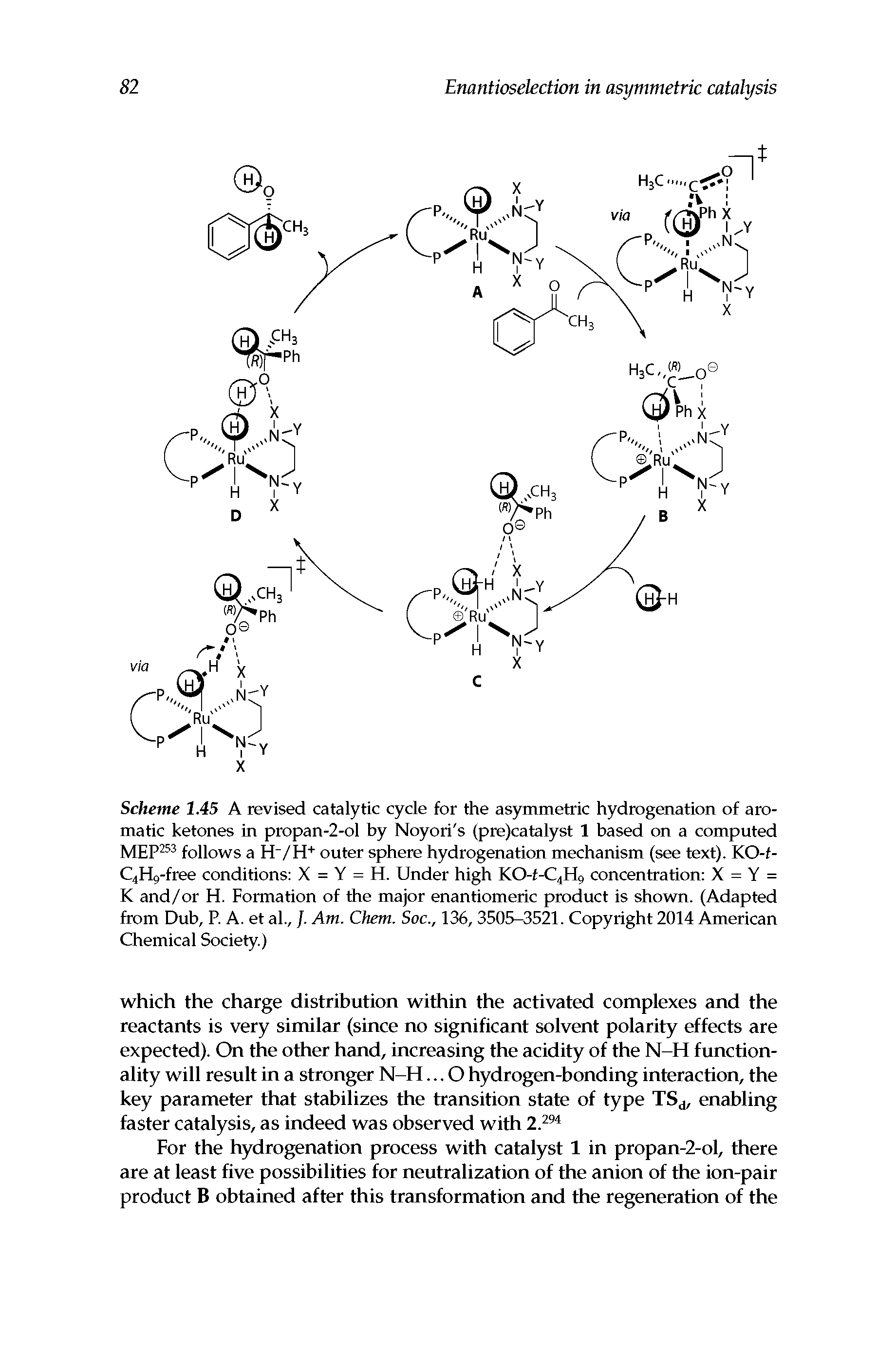 Scheme 1.45 A revised catalytic cycle for the asymmetric hydrogenation of aromatic ketones in propan-2-ol by Noyori s (pre)catalyst 1 based on a computed MEp253 follows a H /H" " outer sphere hydrogenation mechanism (see text). KO-f-C4H9 free conditions X = Y = H. Under high KO-f-C4H9 concentration X = Y = K and/or H. Formation of the major enantiomeric product is shown. (Adapted from Dub, P. A. et al., /. Am. Chem. Soc., 136, 3505-3521. Copyright 2014 American Chemical Society.)...