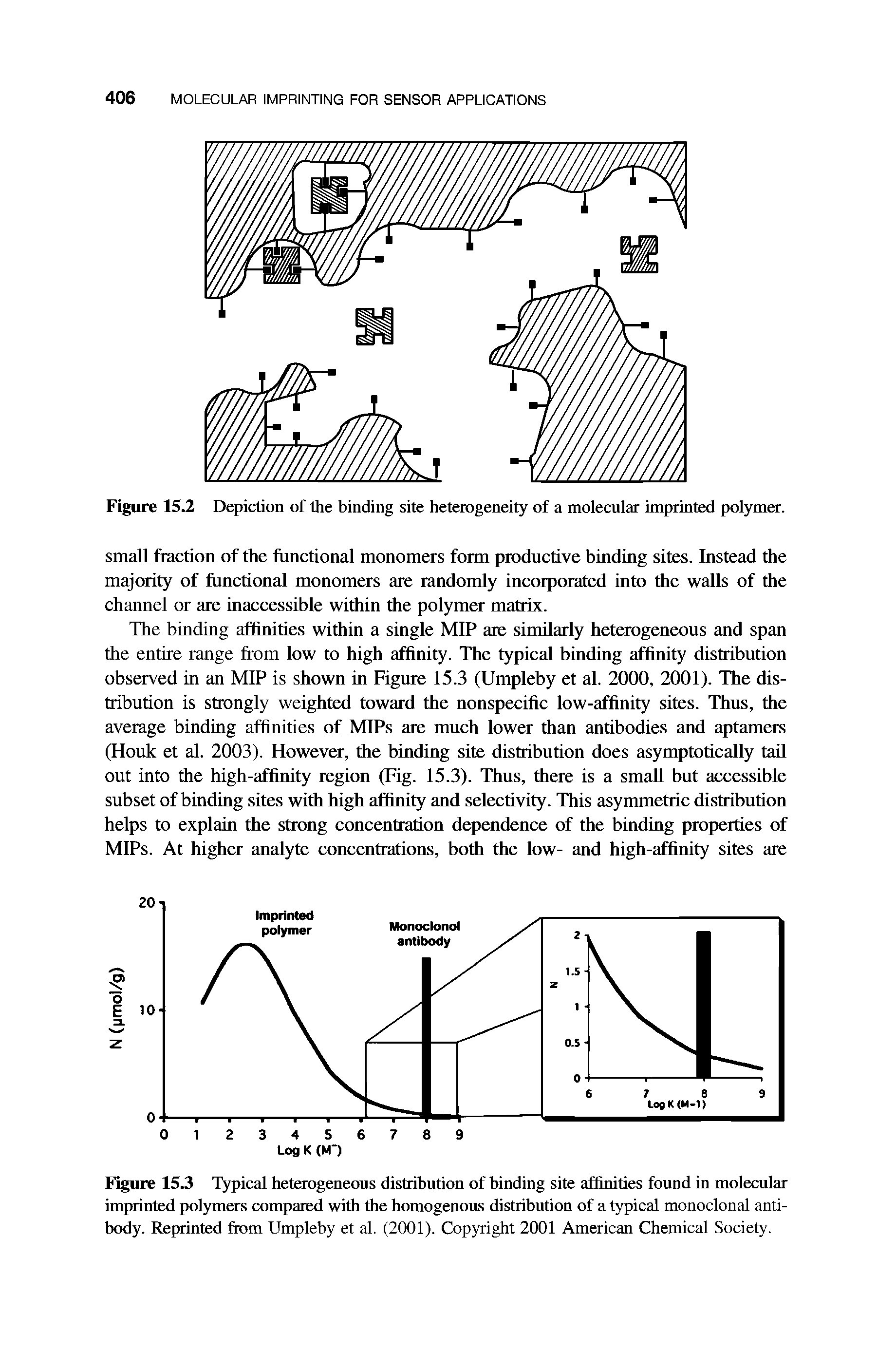 Figure 15.3 T3fpical heterogeneous distribution of binding site affinities found in molecular imprinted polymers compared with the homogenous distribution of a typical monoclonal antibody. Reprinted from Umpleby et al. (2001). Copyright 2001 American Chemical Society.