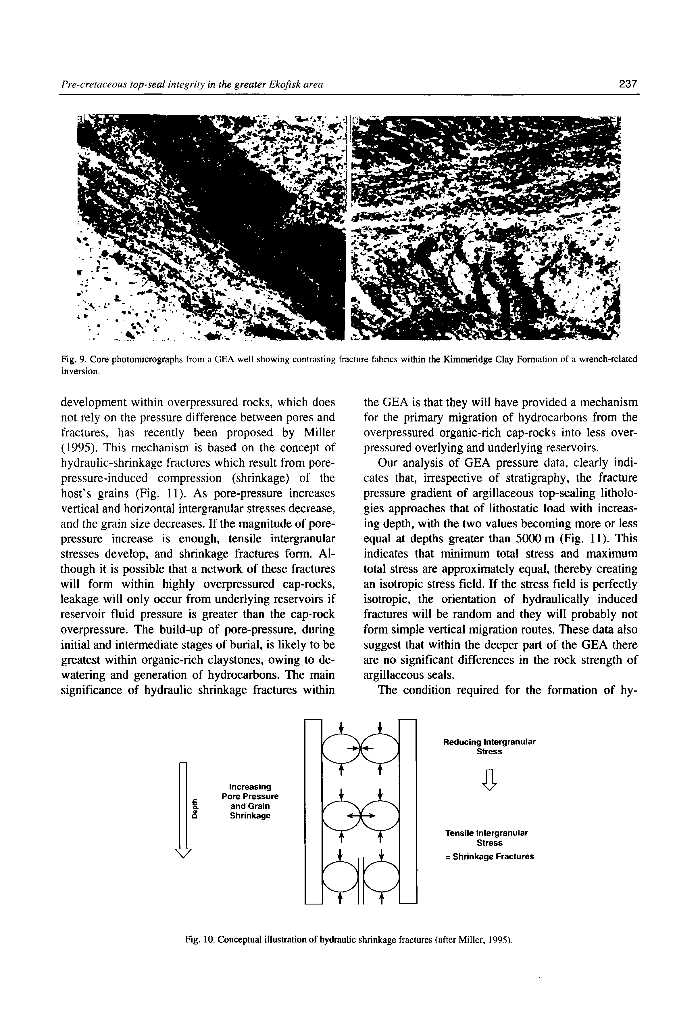 Fig. 9, Core photomicrographs from a GEA well showing contrasting fracture fabrics within the Kimmeridge Clay Formation of a wrench-related inversion.