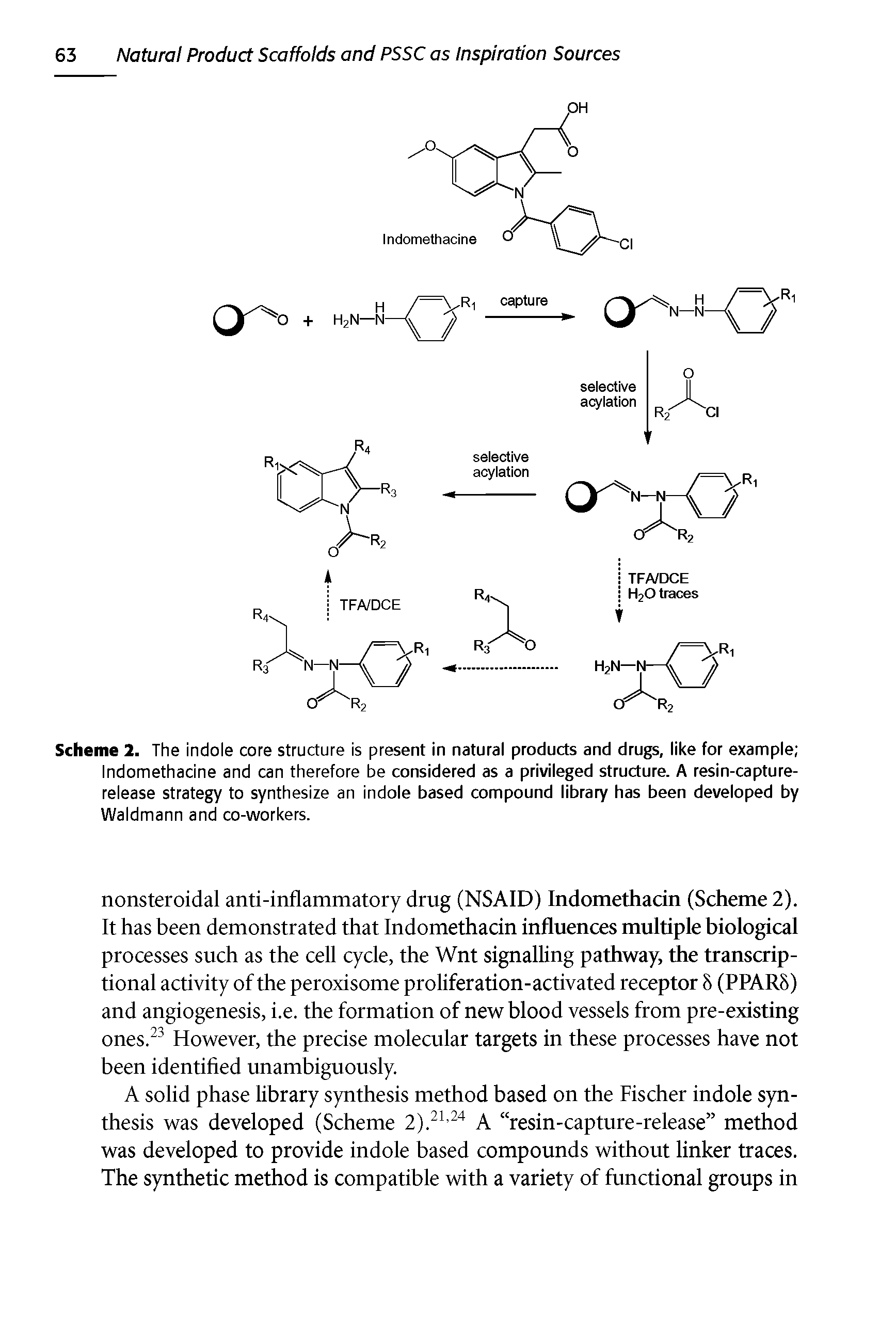 Scheme 2. The indole core structure is present in natural products and drugs, like for example Indomethacine and can therefore be considered as a privileged structure. A resin-capture-release strategy to synthesize an indole based compound library has been developed by Waldmann and co-workers.