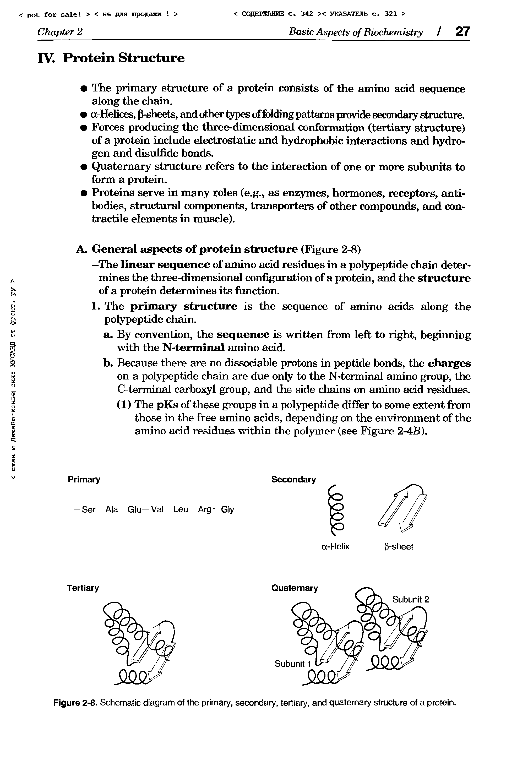 Figure 2-8. Schematic diagram of the primary, secondary, tertiary, and quaternary structure of a protein.