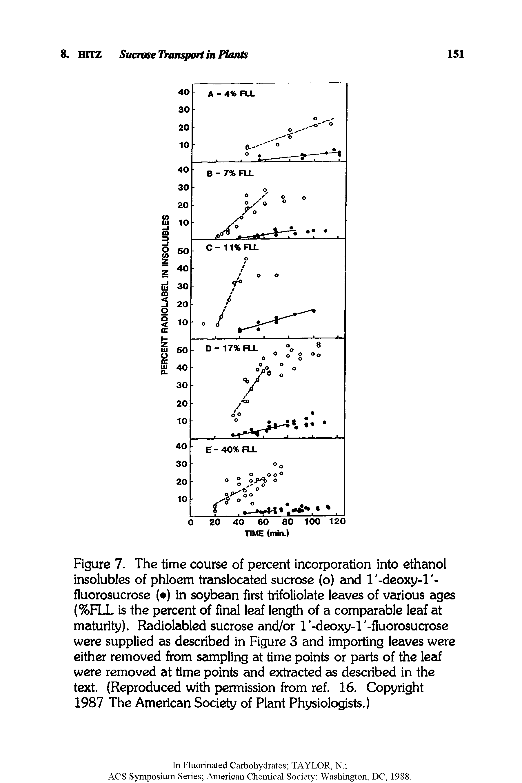 Figure 7. The time course of percent incorporation into ethanol insolubles of phloem translocated sucrose (o) and I -deoxy-l -fluorosucrose ( ) in soybean first trifoliolate leaves of various ages (%FLL is the percent of final leaf length of a comparable leaf at maturity). Radiolabled sucrose and/or 1 -deoxy-1 -fluorosucrose were supplied as described in Figure 3 and importing leaves were either removed from sampling at time points or parts of the leaf were removed at time points and extracted as described in the text. (Reproduced with permission from ref. 16. Copyright 1987 The American Society of Plant Physiologists.)...