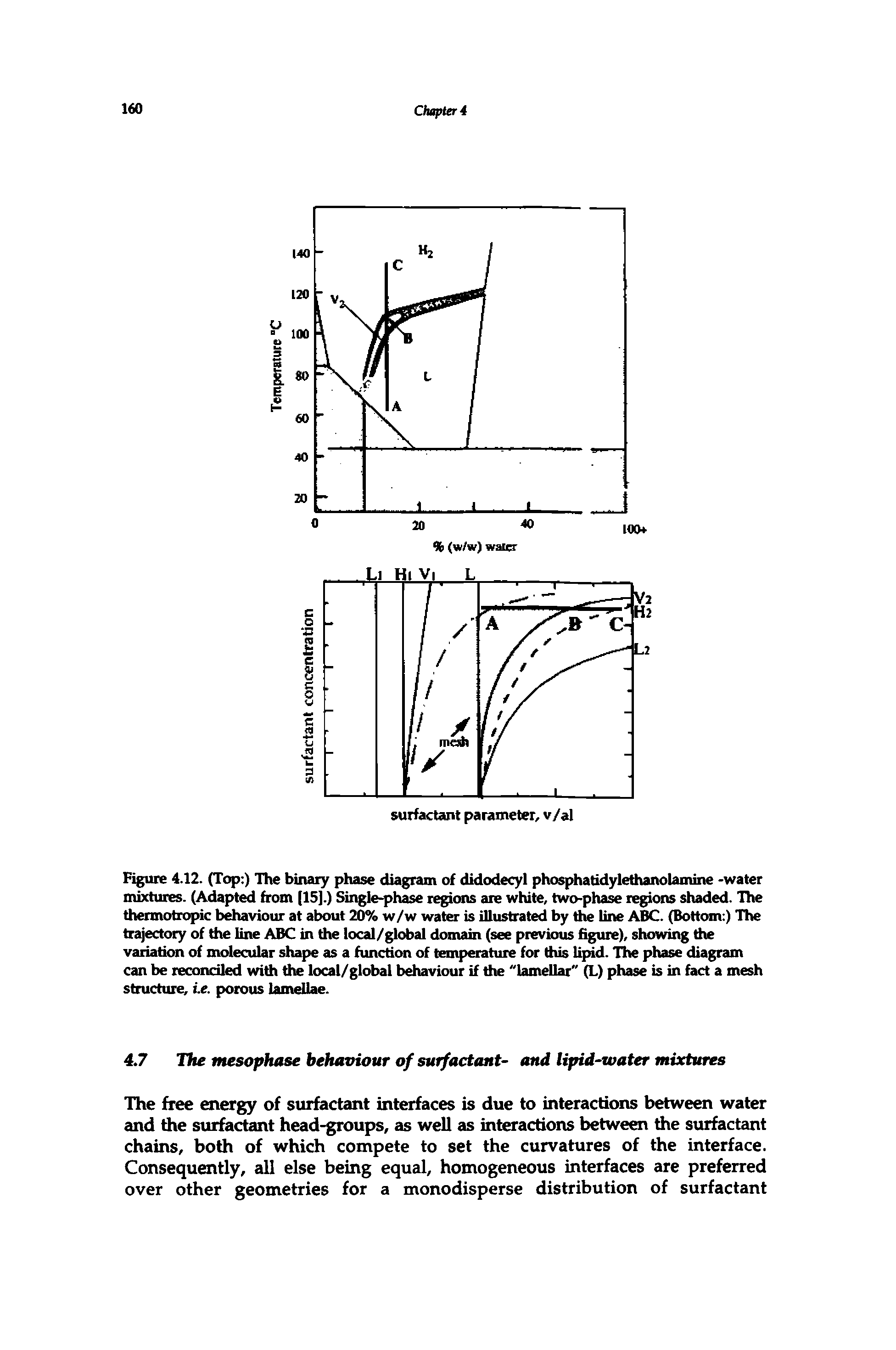 Figure 4.12. (Top ) The binary phase diagram of didodecyl phosphatidylethanolamine -water mixtures. (Adapted from [15].) Single-phase regions are white, two-pha% regions shaded. The thermotropic behaviour at about 20% w/w water is illustrated by die line ABC. (Bottom ) The trajectory of the line ABC in the local/global domain (see previous figure), showing the variation of molecular shape as a function of temperature for this l d. The phase diagram can be reconciled with the local/global behaviour if the "lamellar" (L) phase is in fact a mesh structure, i.e. porous lamellae.