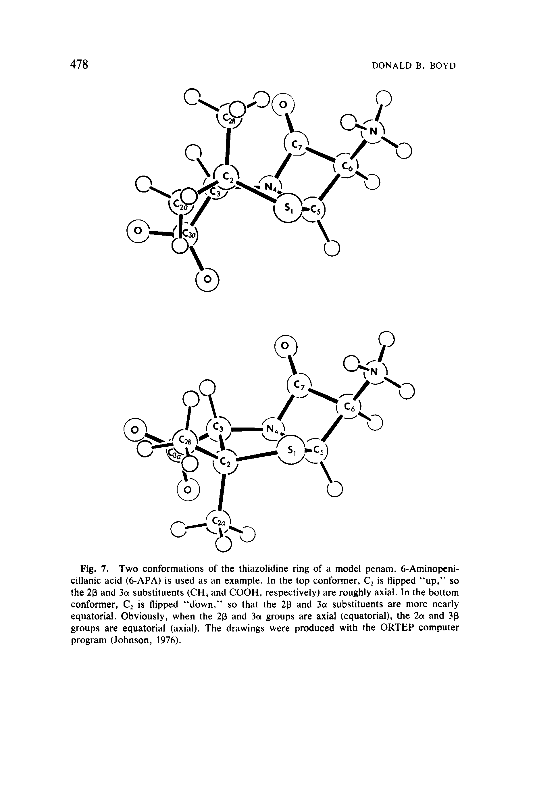 Fig. 7. Two conformations of the thiazolidine ring of a model penam. 6-Aminopeni-cillanic acid (6-APA) is used as an example. In the top conformer, Cj is flipped up, so the 2p and 3a substituents (CH, and COOH, respectively) are roughly axial. In the bottom conformer, Cj is flipped down, so that the 2(3 and 3a substituents are more nearly equatorial. Obviously, when the 2 and 3a groups are axial (equatorial), the 2a and 3p groups are equatorial (axial). The drawings were produced with the ORTEP computer program (Johnson, 1976).