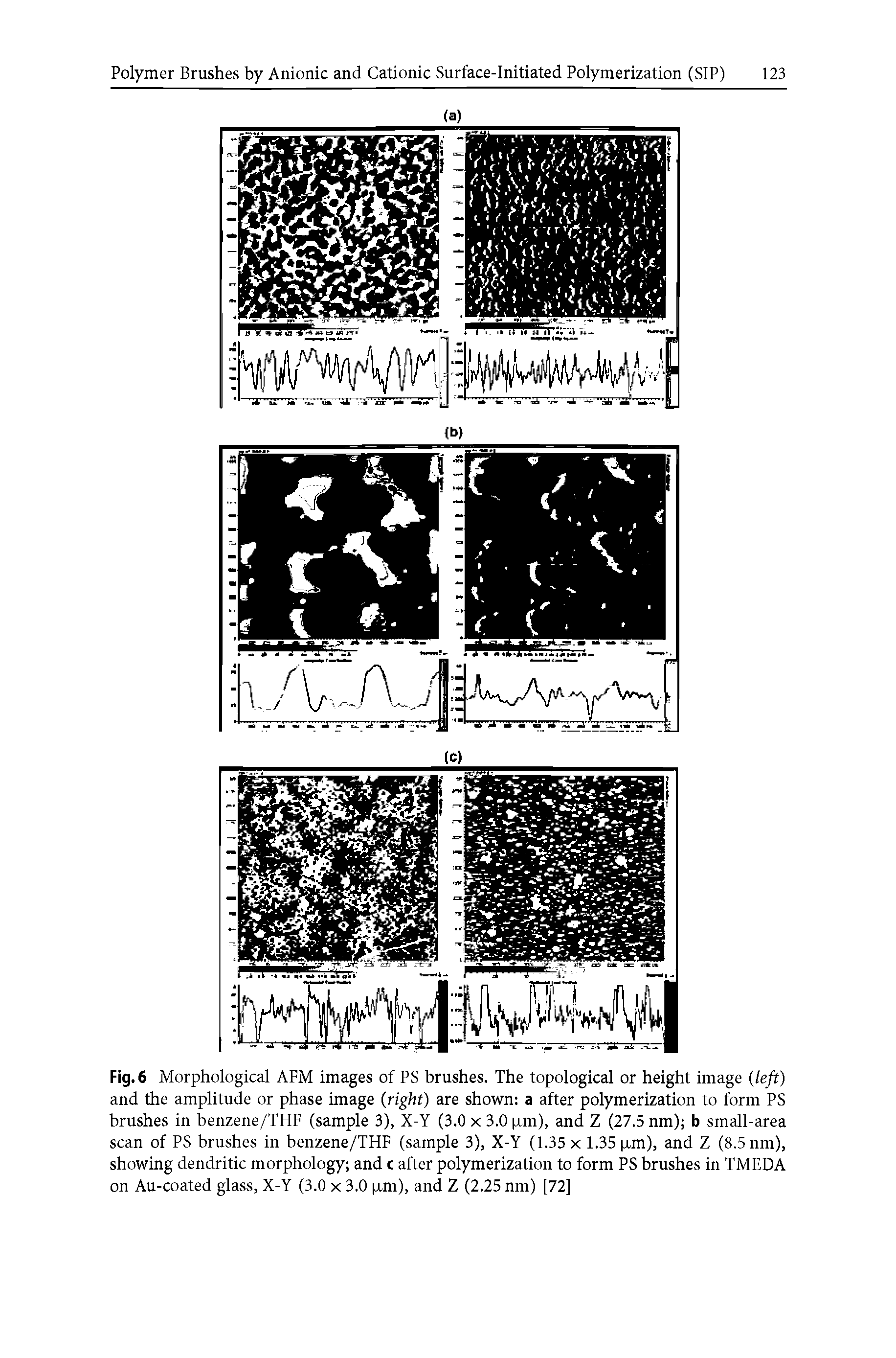 Fig. 6 Morphological AFM images of PS brushes. The topological or height image (left) and the amplitude or phase image (right) are shown a after polymerization to form PS brushes in benzene/THF (sample 3), X-Y (3.0 x 3.0 p.m), and Z (27.5 nm) b small-area scan of PS brushes in benzene/THF (sample 3), X-Y (1.35 x 1.35 p.m), and Z (8.5 nm), showing dendritic morphology and c after polymerization to form PS brushes in TMEDA on Au-coated glass, X-Y (3.0 x 3.0 p.m), and Z (2.25 nm) [72]...