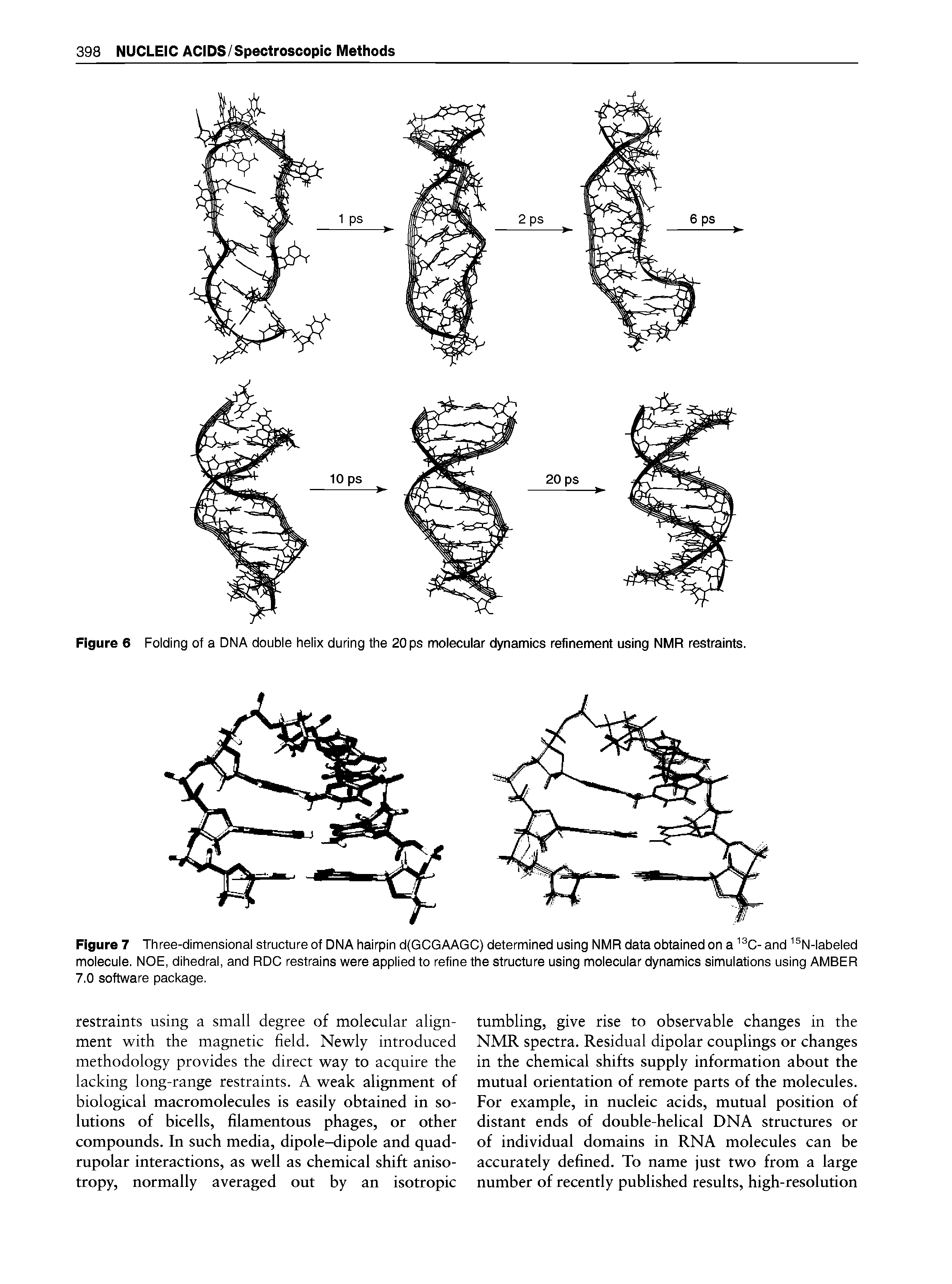Figure 7 Three-dimensional structure of DNA hairpin d(GCGAAGC) determined using NMR data obtained on a C- and N-labeled molecule. NOE, dihedral, and RDC restrains were applied to refine the structure using molecular dynamics simulations using AMBER 7.0 software package.