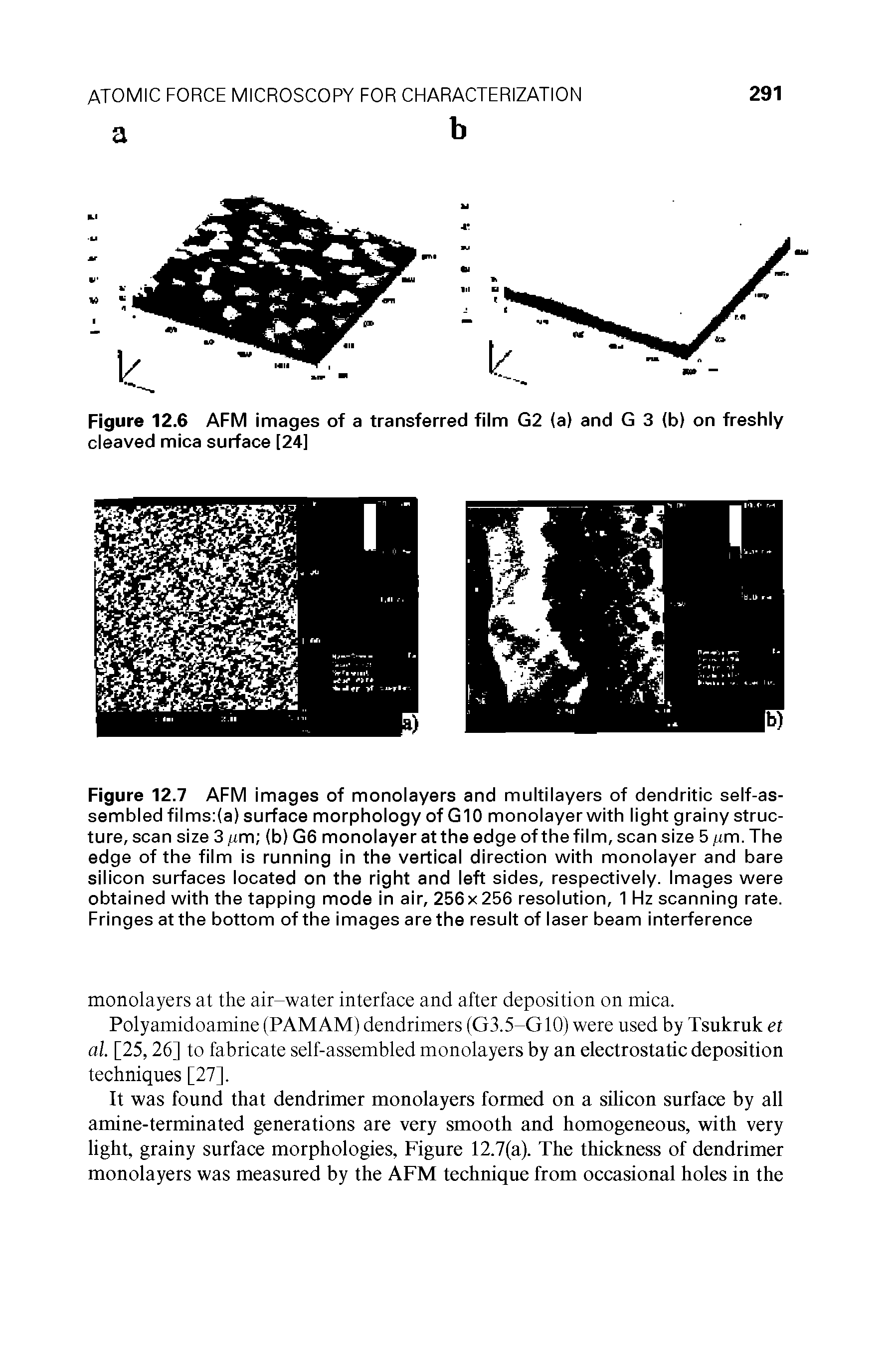 Figure 12.6 AFM images of a transferred film G2 (a) and G 3 (b) on freshly cleaved mica surface [24]...