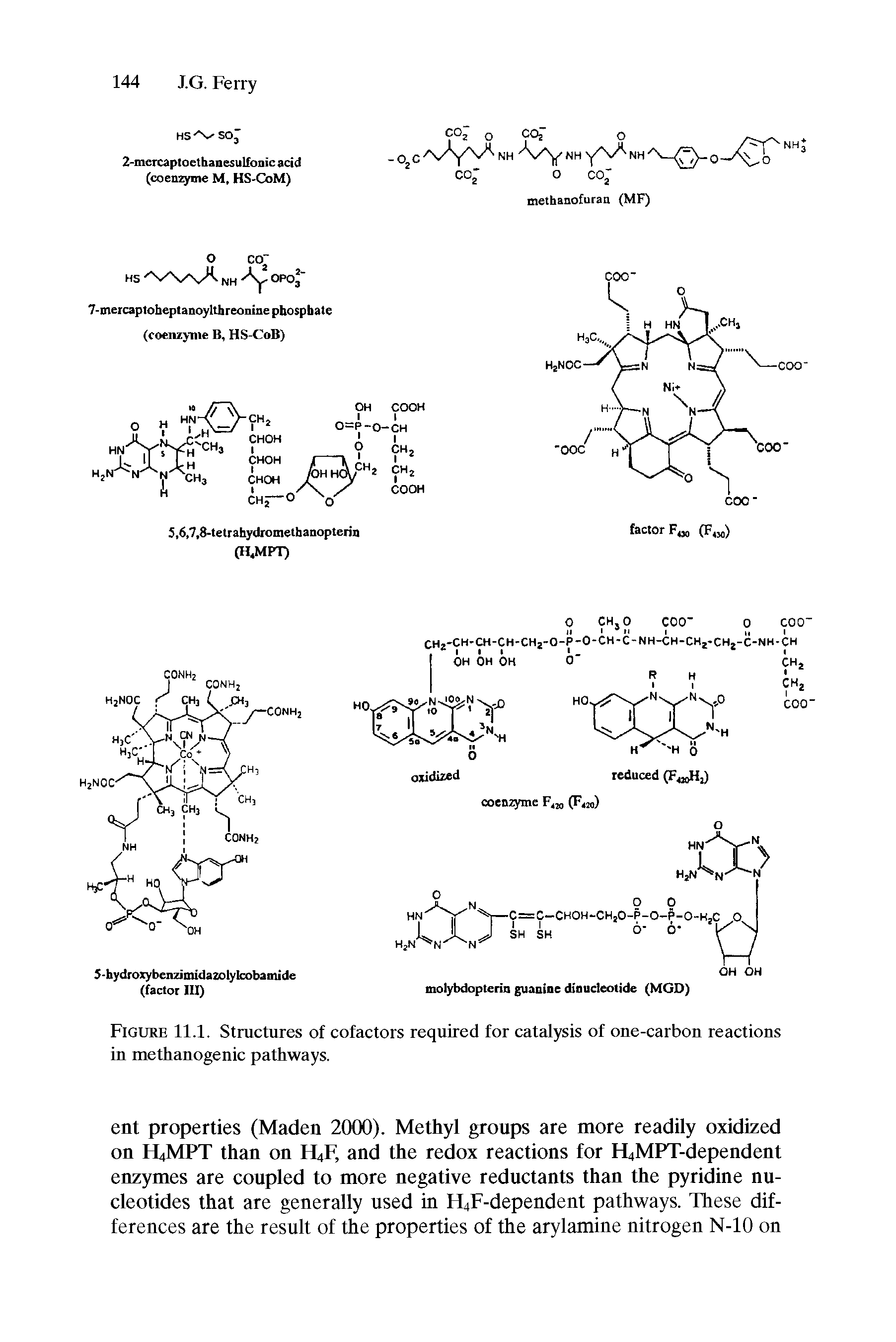 Figure 11.1. Structures of cofactors required for catalysis of one-carbon reactions in methanogenic pathways.