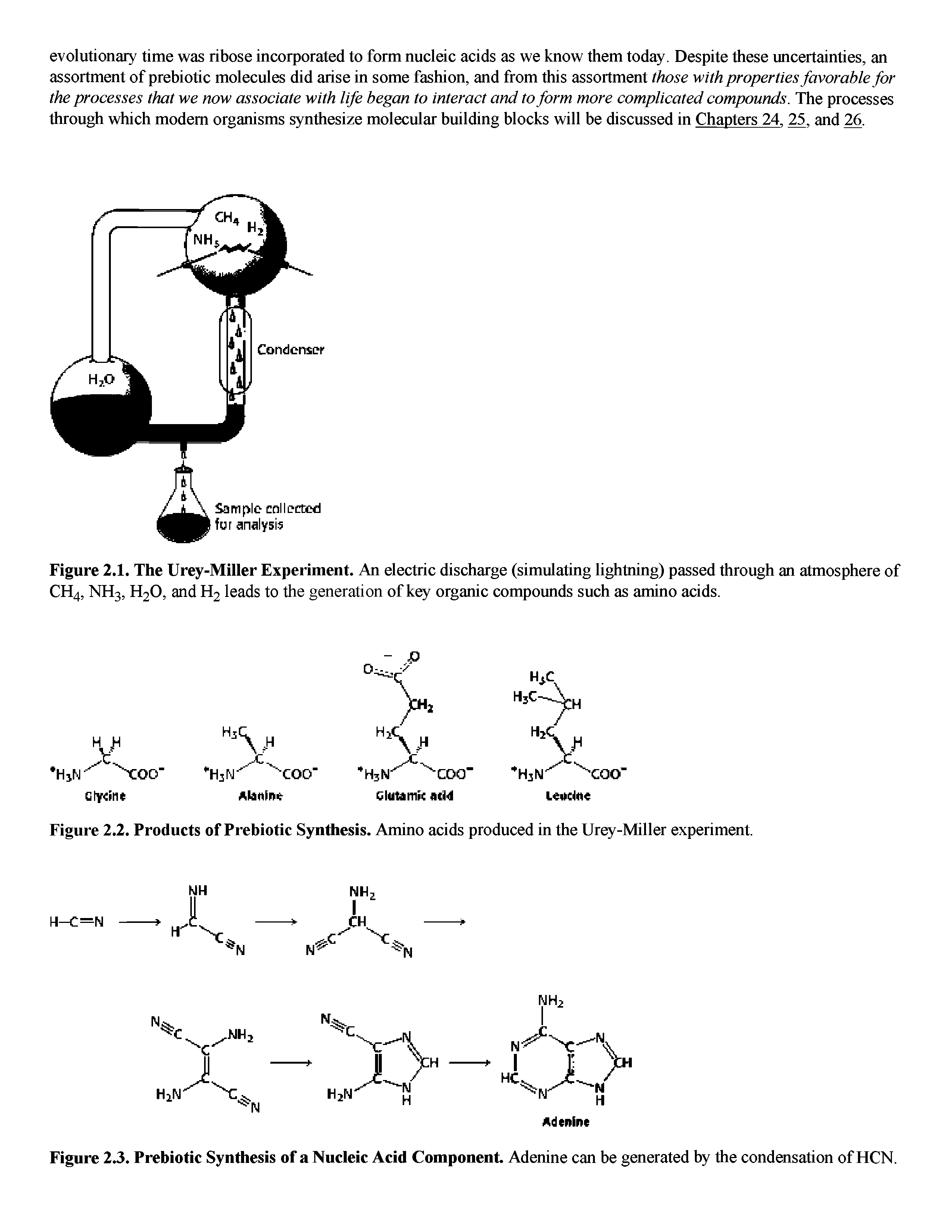 Figure 2.2. Products of Prebiotic Synthesis. Amino acids produced in the Urey-Miller experiment.