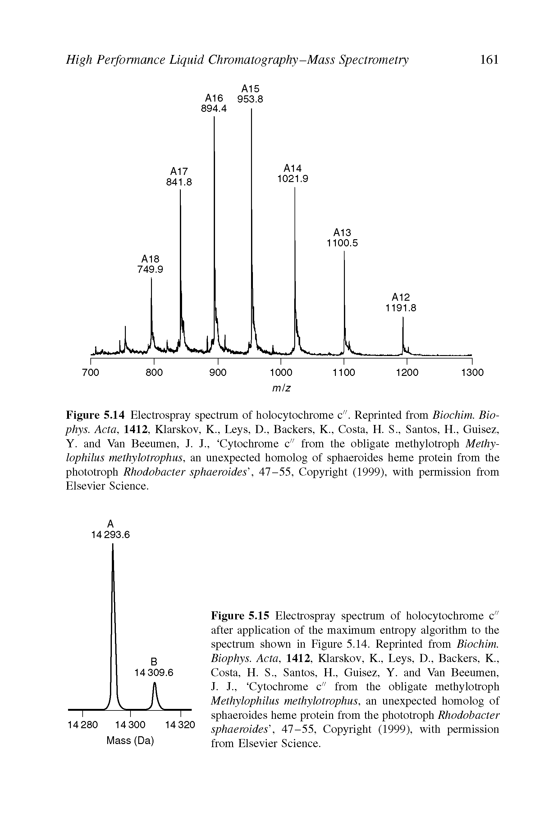 Figure 5.14 Electrospray spectrum of holocytochrome c". Reprinted from Biochim. Bio-phys. Acta, 1412, Klarskov, K., Leys, D., Backers, K., Costa, H. S., Santos, H., Guisez, Y. and Van Beeumen, 1. 1., Cytochrome c" from the obligate methylotroph Methy-lophilus methylotrophus, an unexpected homolog of sphaeroides heme protein from the phototroph Rhodobacter sphaeroides", 47-55, Copyright (1999), with permission from Elsevier Science.