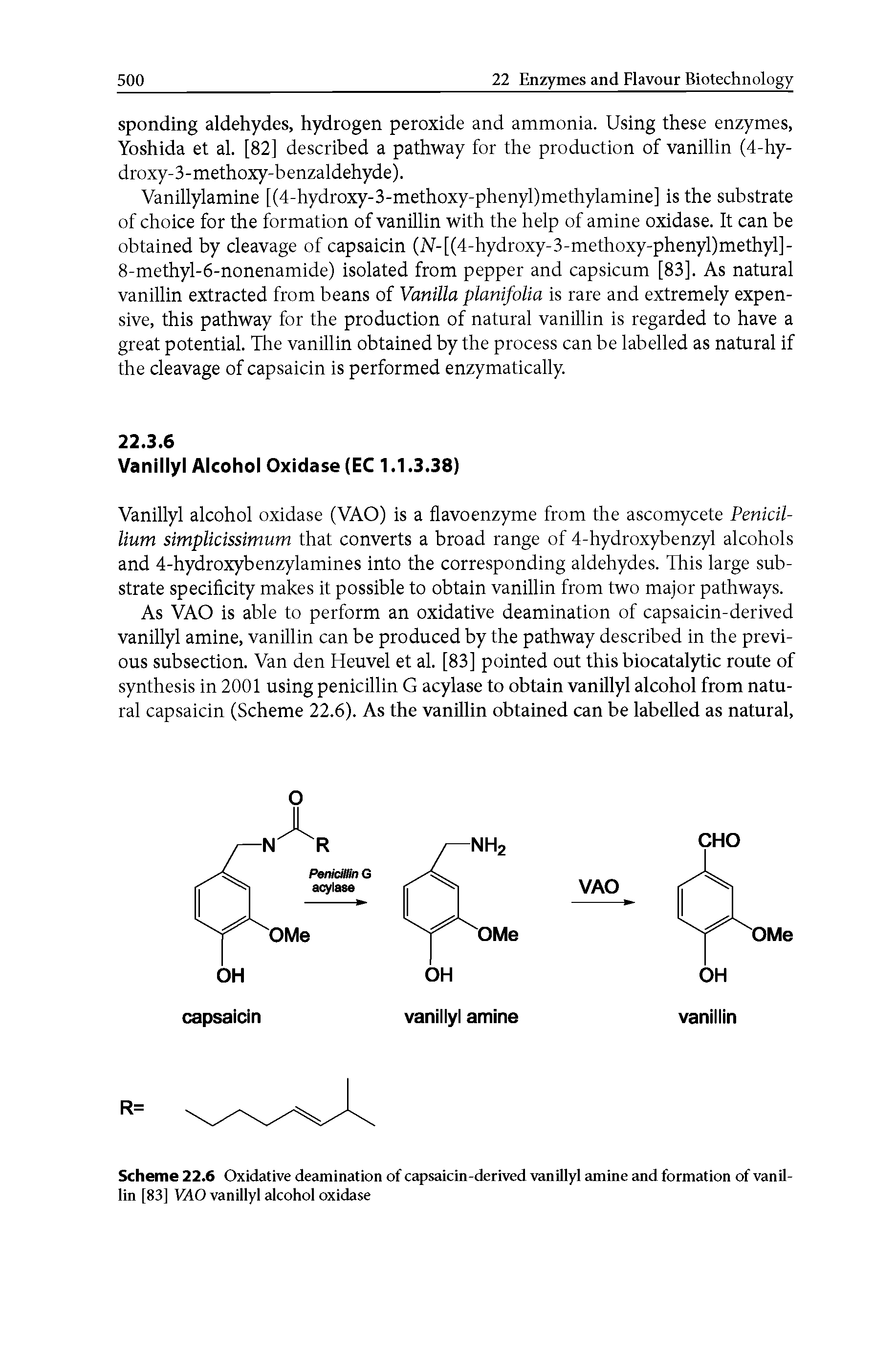 Scheme 22.6 Oxidative deamination of capsaicin-derived vanillyl amine and formation of vanillin [83] VAO vanillyl alcohol oxidase...