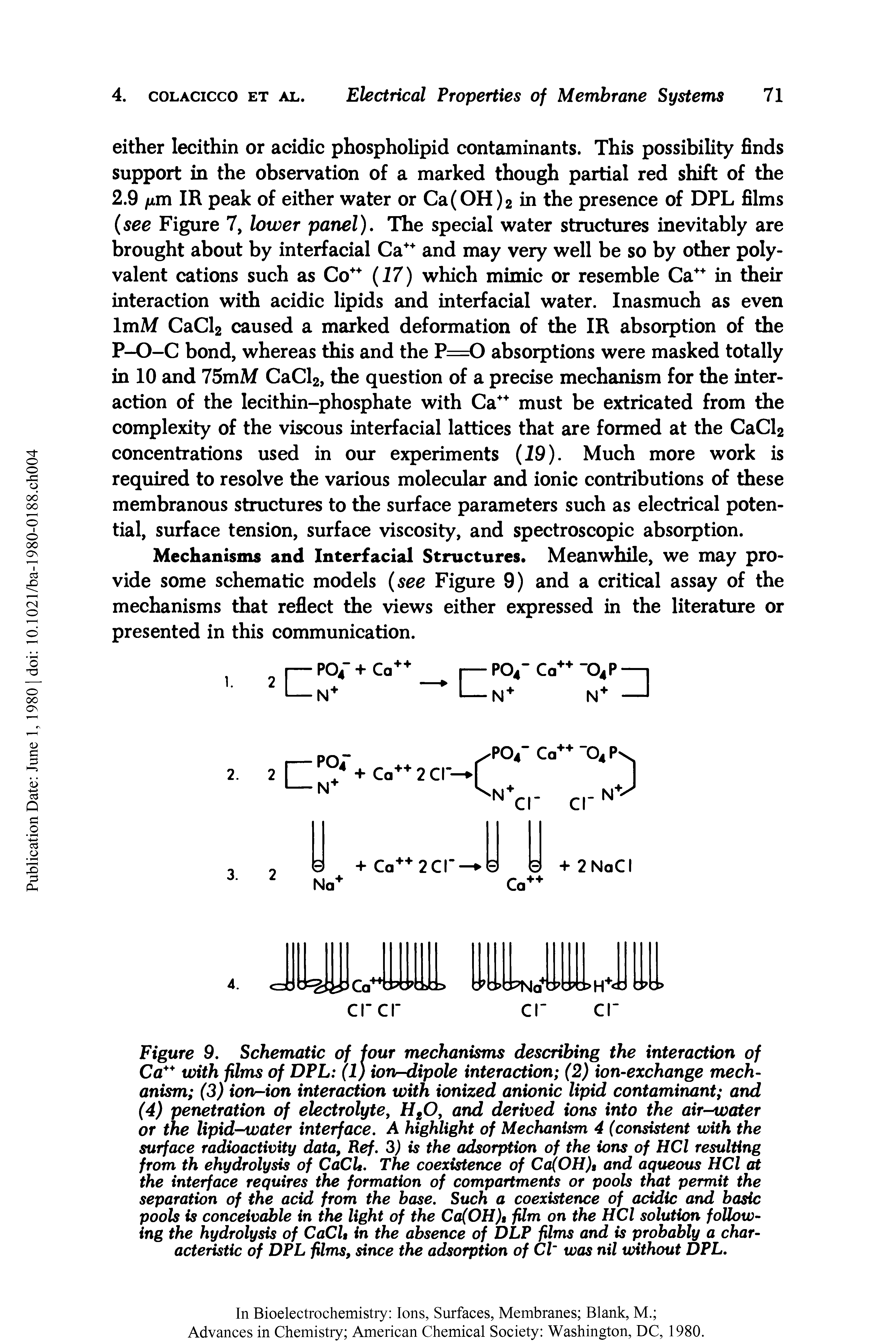 Figure 9. Schematic of four mechanisms describing the interaction of Ca with films of DPL (1) ionr-dipole interaction (2) ion-exchange mechanism (3) ionr-ion interaction with ionized anionic lipid contaminant and (4) penetration of electrolyte, HgO, and derived ions into the air- vater or the lipid-water interface. A highlight of Mechanism 4 (consistent with the surface radioactivity data, Ref. 3) is the adsorption of the ions of HCl resulting from th ehydrolysis of CaCU. The coexistence of Ca(OH) and aqueous HCl at the interface requires the formation of compartments or pools that permit the separation of the acid from the base. Such a coexistence of acidic and basic pools is conceivable in the light of the Ca(OH), film on the HCl solution following the hydrolysis of CaCU in the absence of DLP films and is probably a characteristic of DPL films, since the adsorption of Cl was nil without DPL.