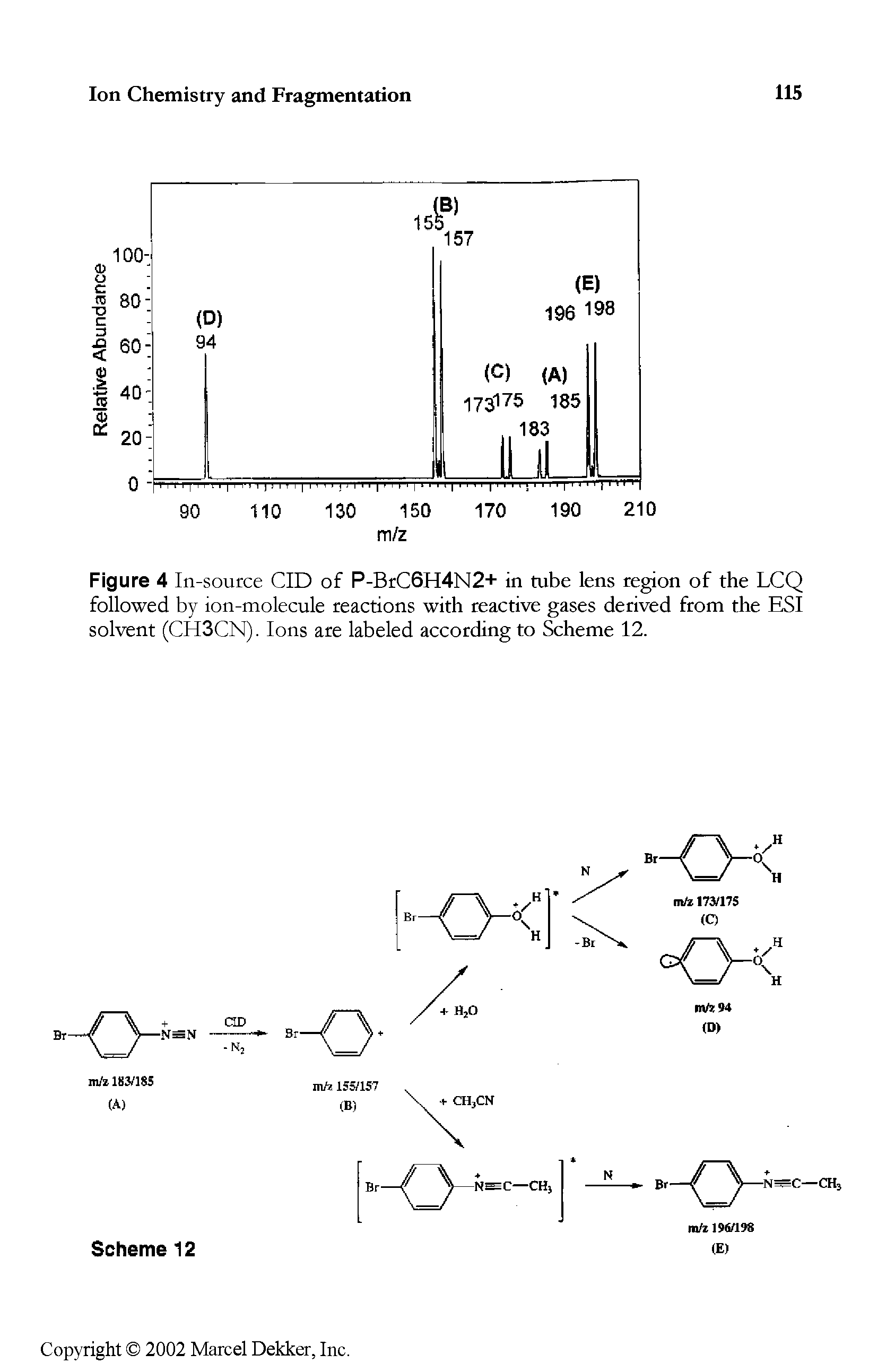 Figure 4 In-source CID of P-BrC6H4N2+ in tube lens region of the LCQ followed by ion-molecule reactions with reactive gases derived from the ESI solvent (CH3CN). Ions are labeled according to Scheme 12.