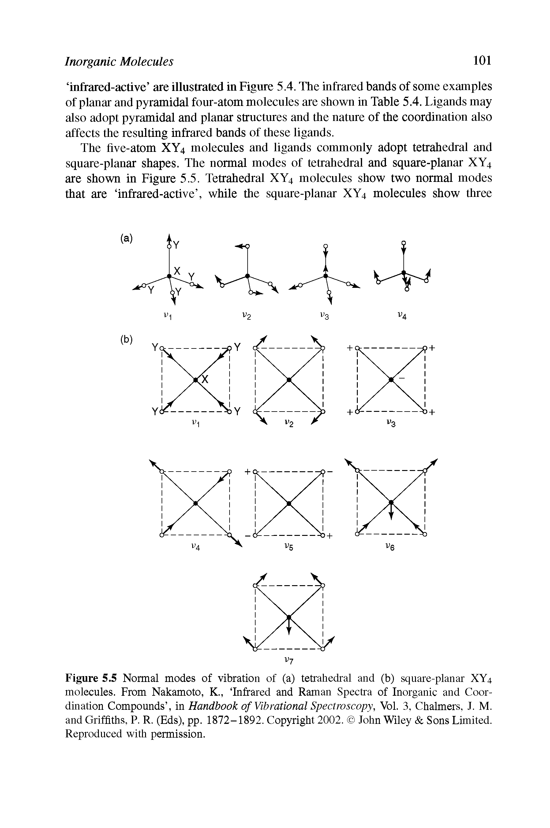 Figure 5.5 Normal modes of vibration of (a) tetrahedral and (b) square-planar XY4 molecules. From Nakamoto, K., Infrared and Raman Spectra of Inorganic and Coordination Compounds , in Handbook of Vibrational Spectroscopy, Vol. 3, Chalmers, J. M. and Griffiths, P. R. (Eds), pp. 1872-1892. Cop)uight 2002. John " Afiley Sons Limited. Reproduced with permission.