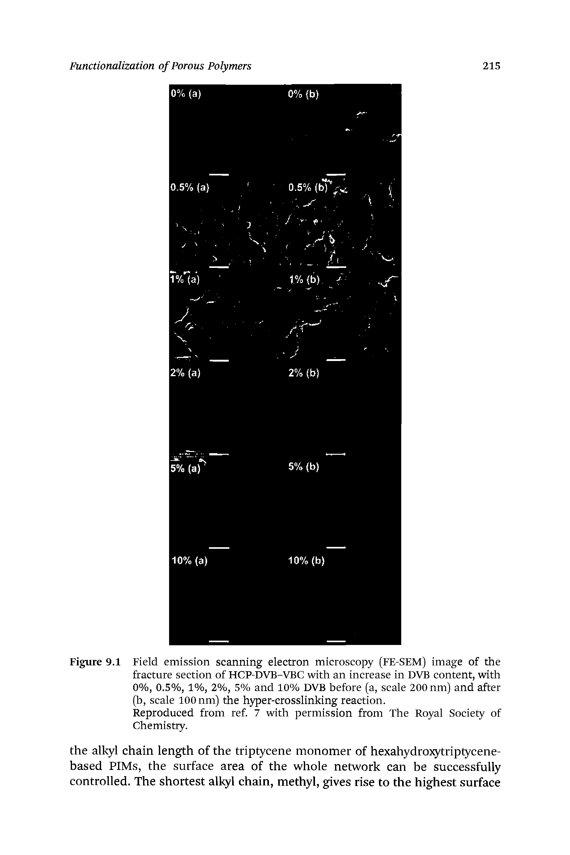 Figure 9.1 Field emission scanning electron microscopy (FE-SEM) image of the fracture section of HCP-DVB-VBC with an increase in DVB content, with 0%, 0.5%, 1%, 2%, 5% and 10% DVB before (a, scale 200 nm) and after (b, scale 100 nm) the hyper-crosslinking reaction.