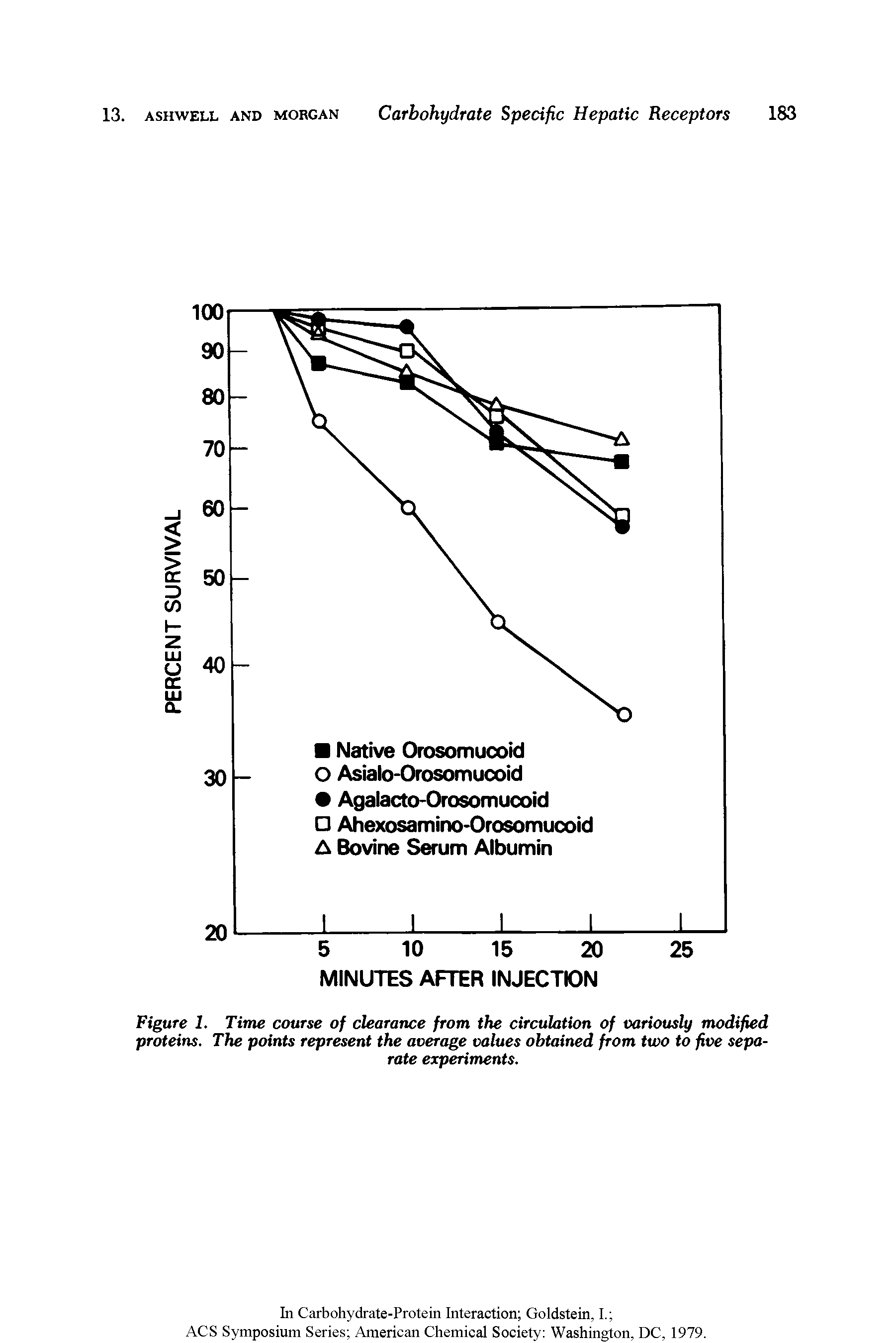 Figure 1. Time course of clearance from the circulation of variously modified proteins. The points represent the average values obtained from two to five separate experiments.