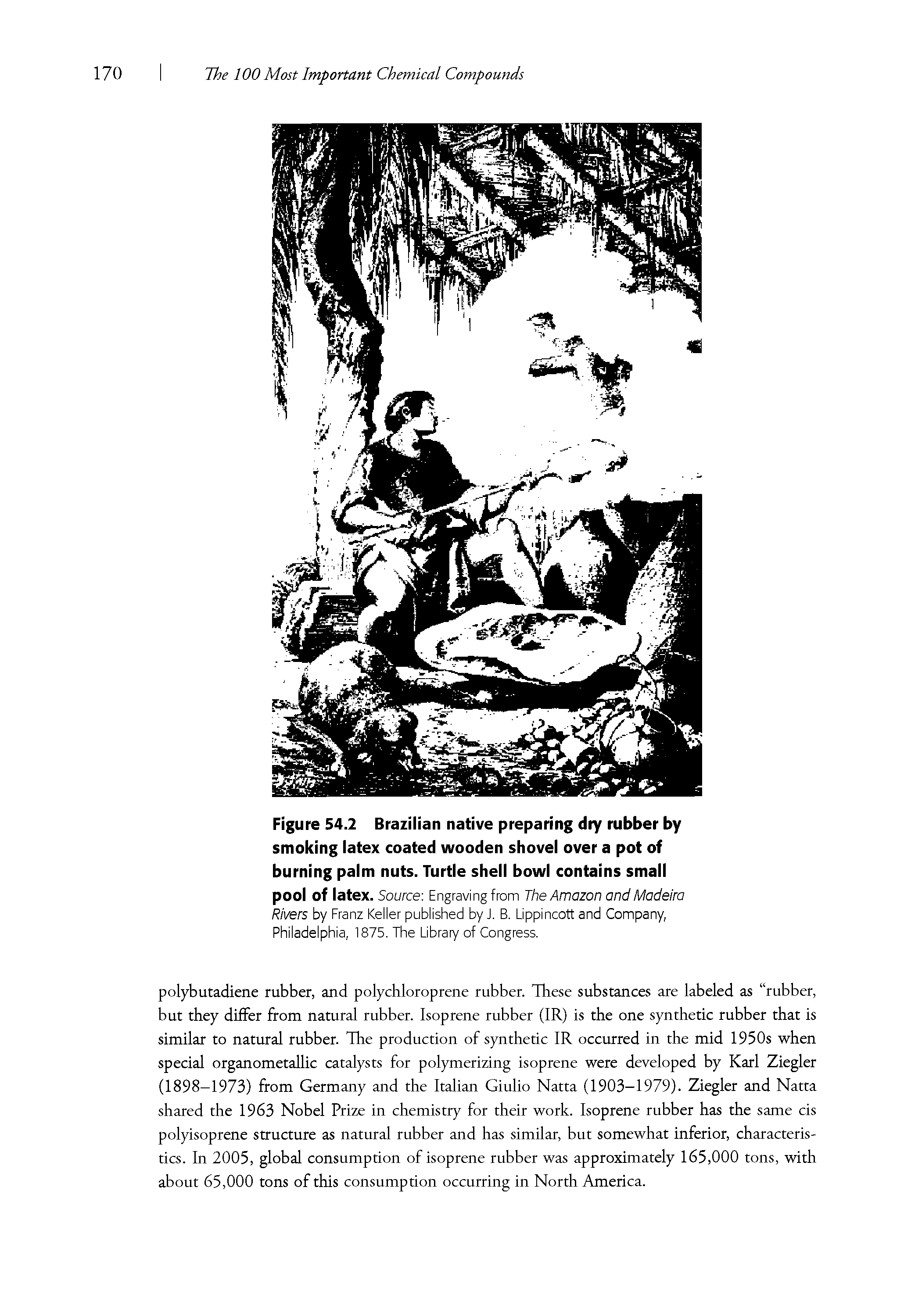 Figure 54.2 Brazilian native preparing dry rubber by smoking latex coated wooden shovel over a pot of burning palm nuts. Turtle shell bowl contains small pool of latex. Source-. Engraving from The Amazon and Madeira Rivers by Franz Keller published by J. B. Lippincott and Company, Philadelphia, 1875. The Library of Congress.