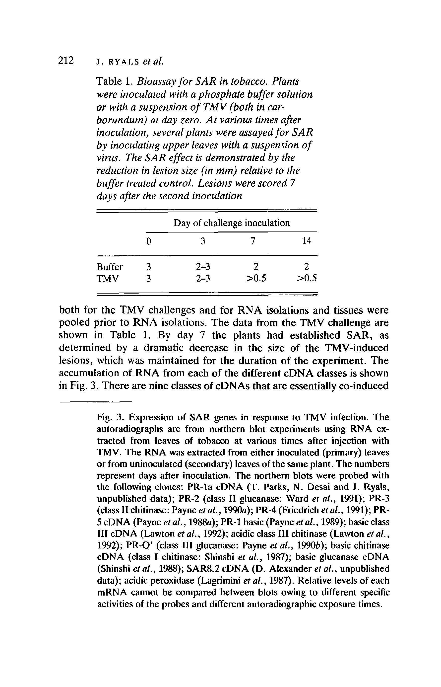 Table 1. Bioassay for SAR in tobacco. Plants were inoculated with a phosphate buffer solution or with a suspension of TMV (both in carborundum) at day zero. At various times after inoculation, several plants were assayed for SAR by inoculating upper leaves with a suspension of virus. The SAR effect is demonstrated by the reduction in lesion size (in mm) relative to the buffer treated control. Lesions were scored 7 days after the second inoculation...
