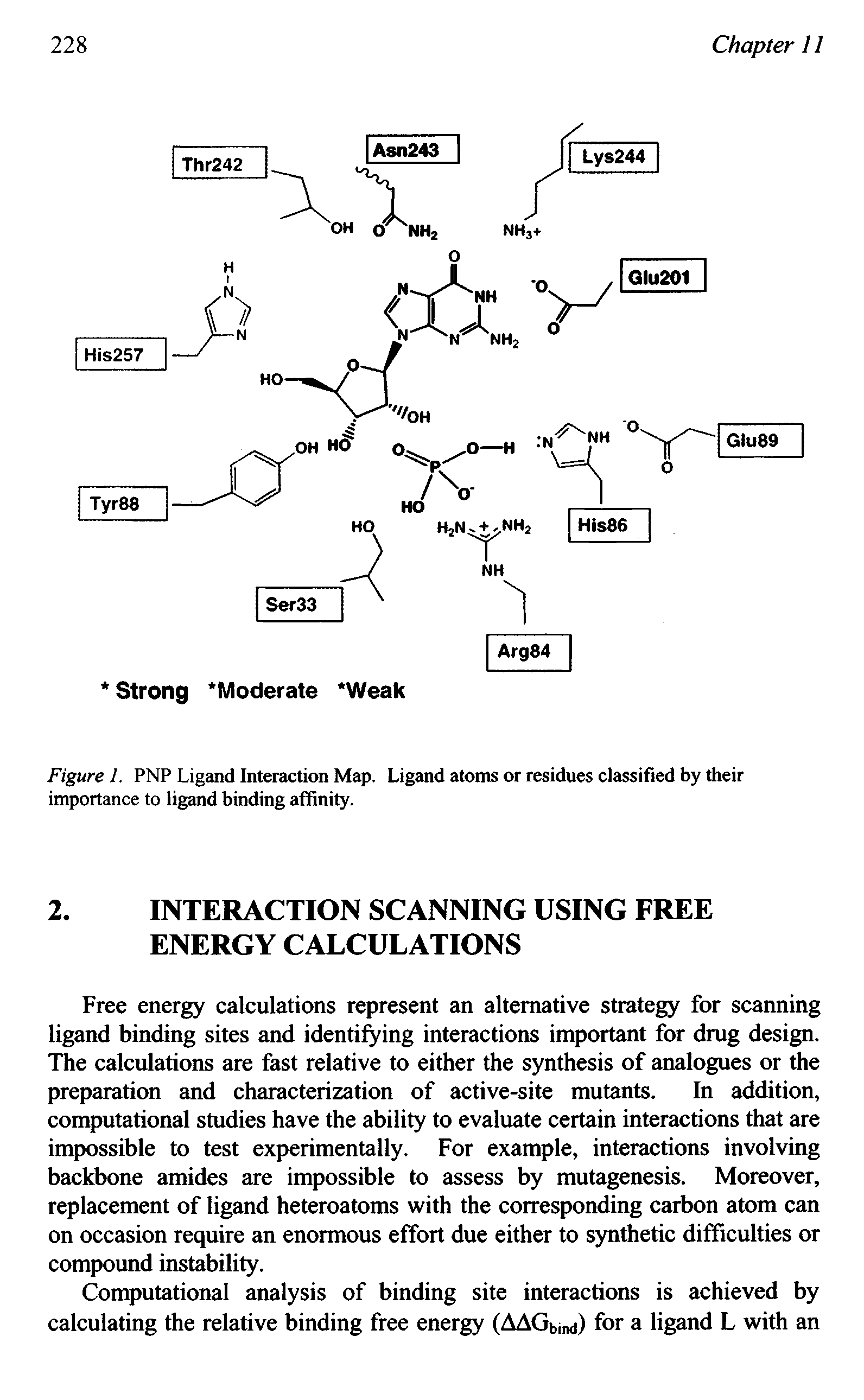 Figure I. PNP Ligand Interaction Map. Ligand atoms or residues classified by their importance to ligand binding affinity.