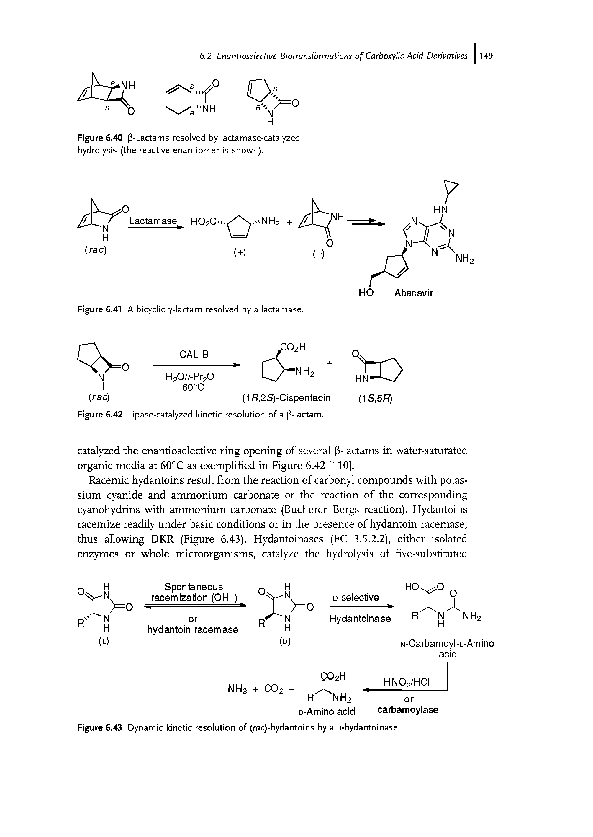 Figure 6.42 Lipase-catalyzed kinetic resolution of a p-lactam.