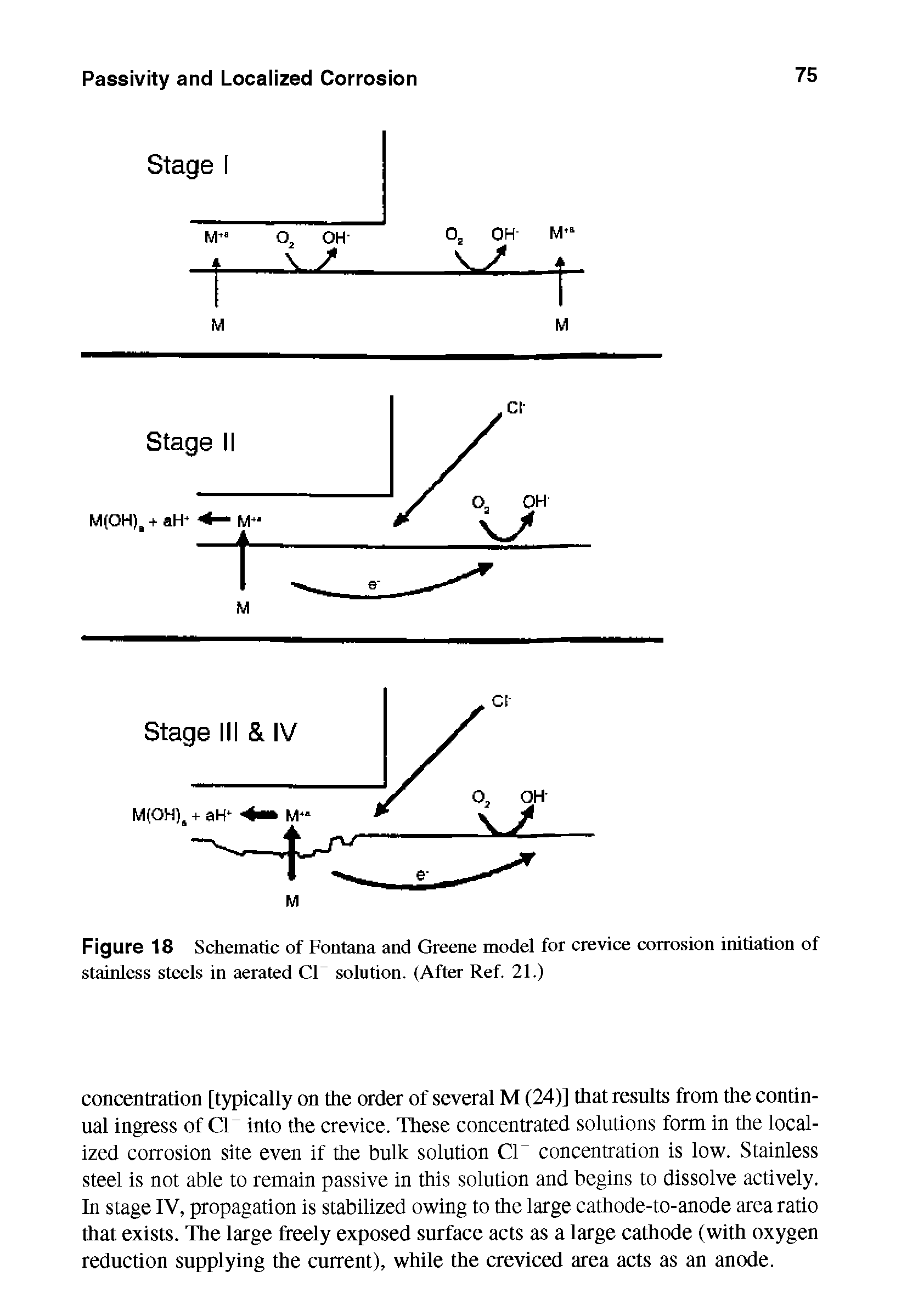 Figure 18 Schematic of Fontana and Greene model for crevice corrosion initiation of stainless steels in aerated Cl- solution. (After Ref. 21.)...