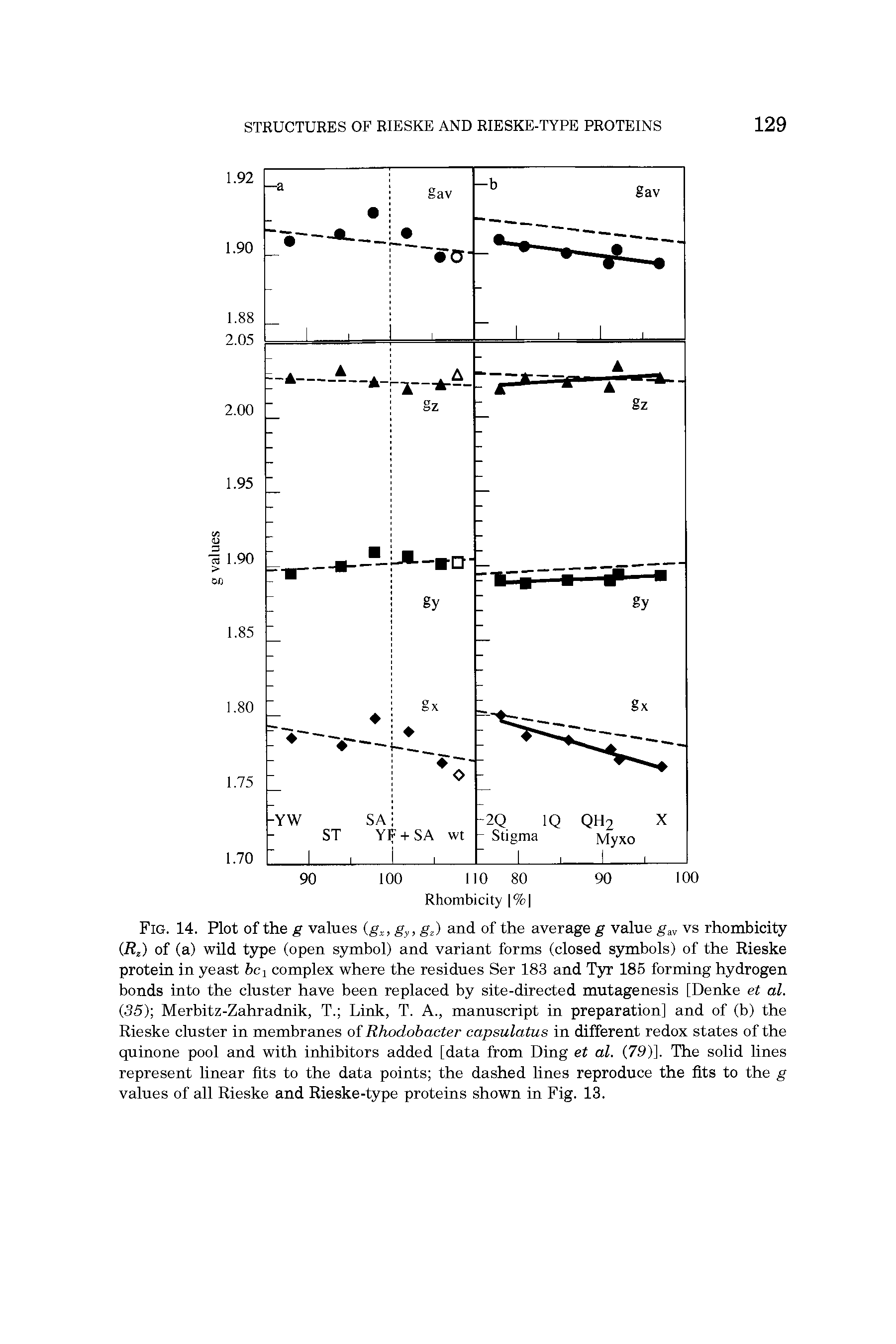 Fig. 14. Plot of the g values g,g ) and of the average g value g vs rhombicity (UJ of (a) wild type (open symbol) and variant forms (closed symbols) of the Rieske protein in yeast bci complex where the residues Ser 183 and Tyr 185 forming hydrogen bonds into the cluster have been replaced by site-directed mutagenesis [Denke et al. (35) Merbitz-Zahradnik, T. Link, T. A., manuscript in preparation] and of (b) the Rieske cluster in membranes of Rhodobacter capsulatus in different redox states of the quinone pool and with inhibitors added [data from Ding et al. (79)]. The solid lines represent linear fits to the data points the dashed lines reproduce the fits to the g values of all Rieske and Rieske-type proteins shown in Fig. 13.