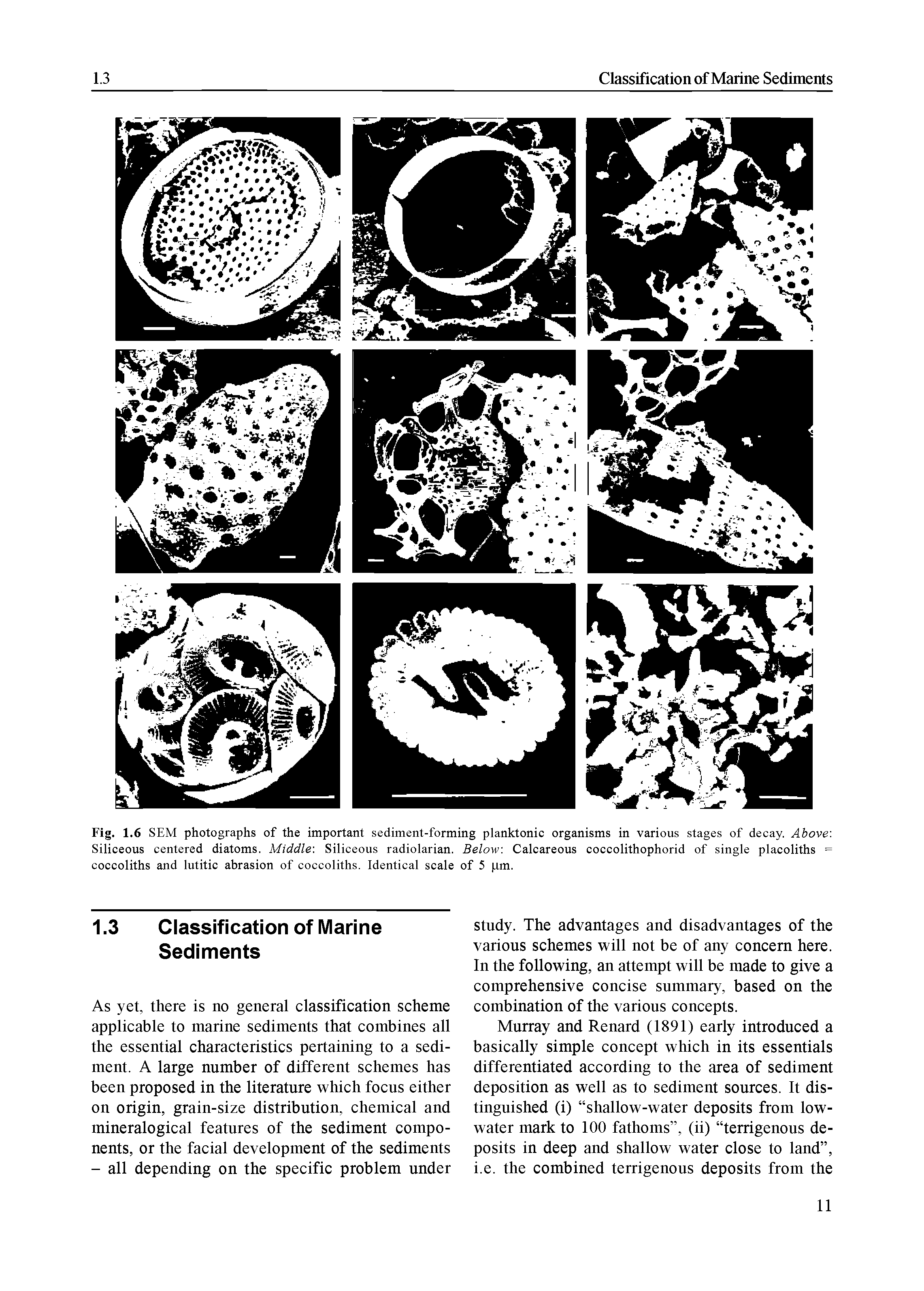 Fig. 1.6 SEM photographs of the important sediment-forming planktonic organisms in various stages of decay. Above. Siliceous centered diatoms. Middle. Siliceous radiolarian. Below. Calcareous coccolithophorid of single placoliths = coccoliths and lutitic abrasion of coccoliths. Identical scale of 5 pm.