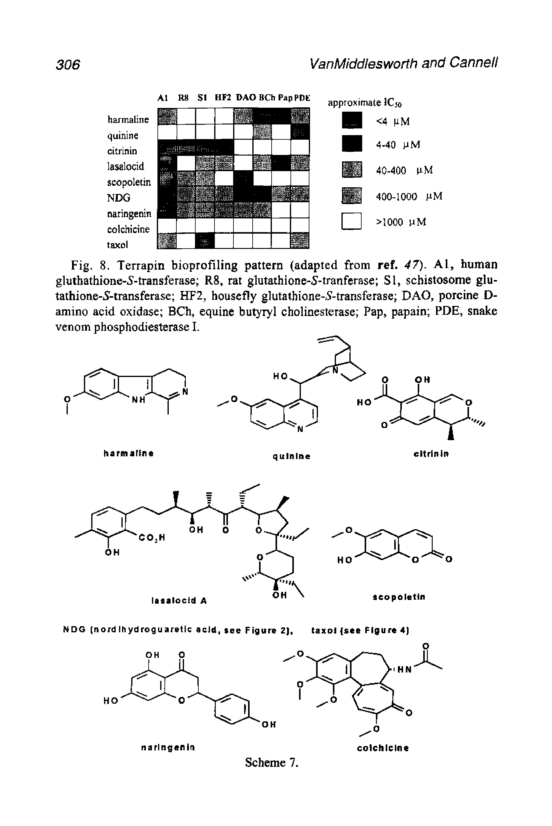 Fig. 8. Terrapin bioprofiling pattern (adapted from ref. 47). Al, human gluthathione-5-transferase R8, rat glutathione-S-tranferase SI, schistosome glu-tathione-5-transferase HF2, housefly glutathione-i -transferase DAO, porcine D-amino acid oxidase BCh, equine butyryl cholinesterase Pap, papain PDE, snake venom phosphodiesterase I.
