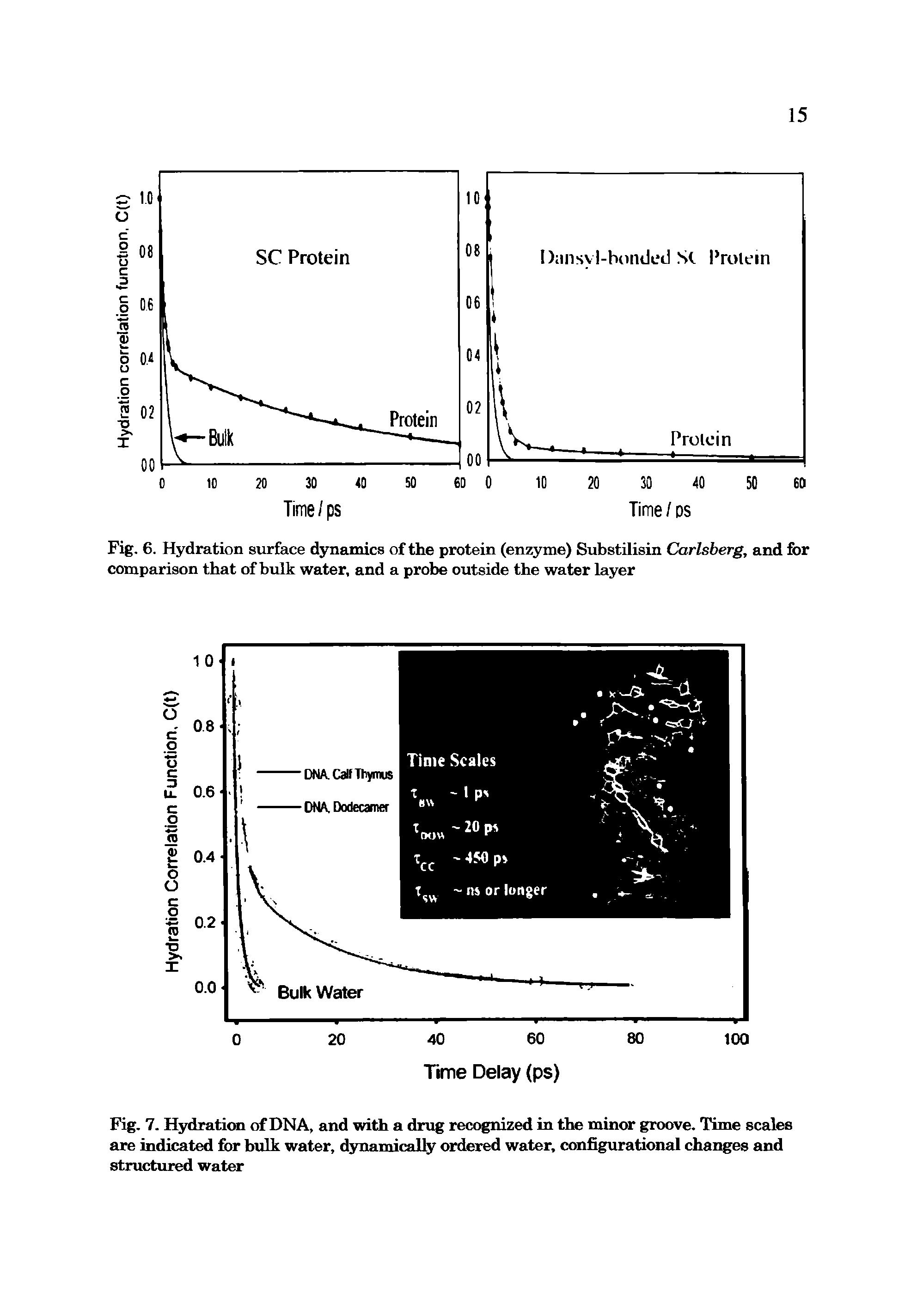 Fig. 7. Hydration of DNA, and with a drug recognized in the minor groove. Time scales are indicated for bulk water, dynamically ordered water, configurational changes and structured water...