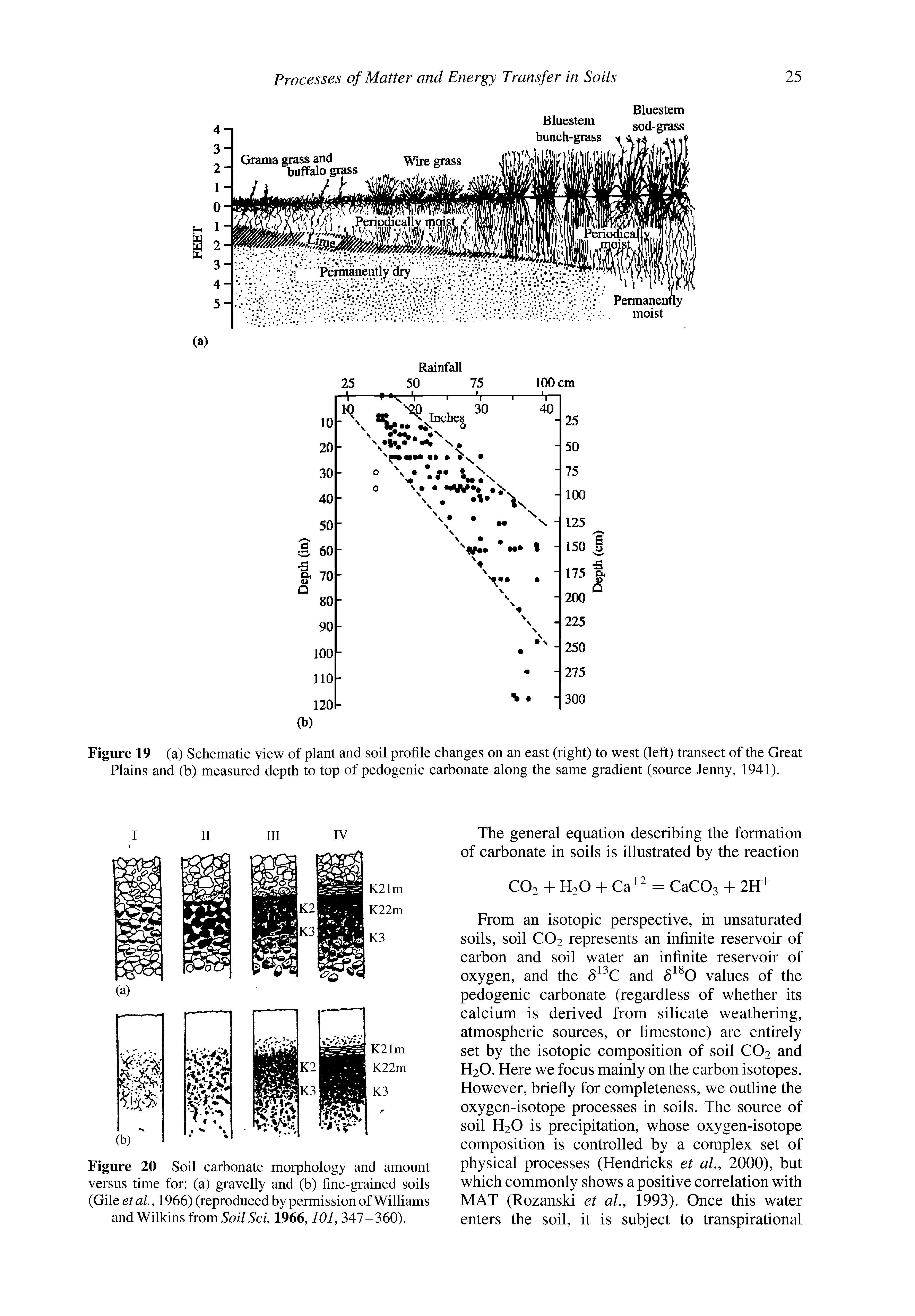 Figure 20 Soil carbonate morphology and amount versus time for (a) gravelly and (b) fine-grained soils etal, 1966) (reprodueed by permission of Williams and Wilkins from 5 //5c/. 1966,101, 347-360).