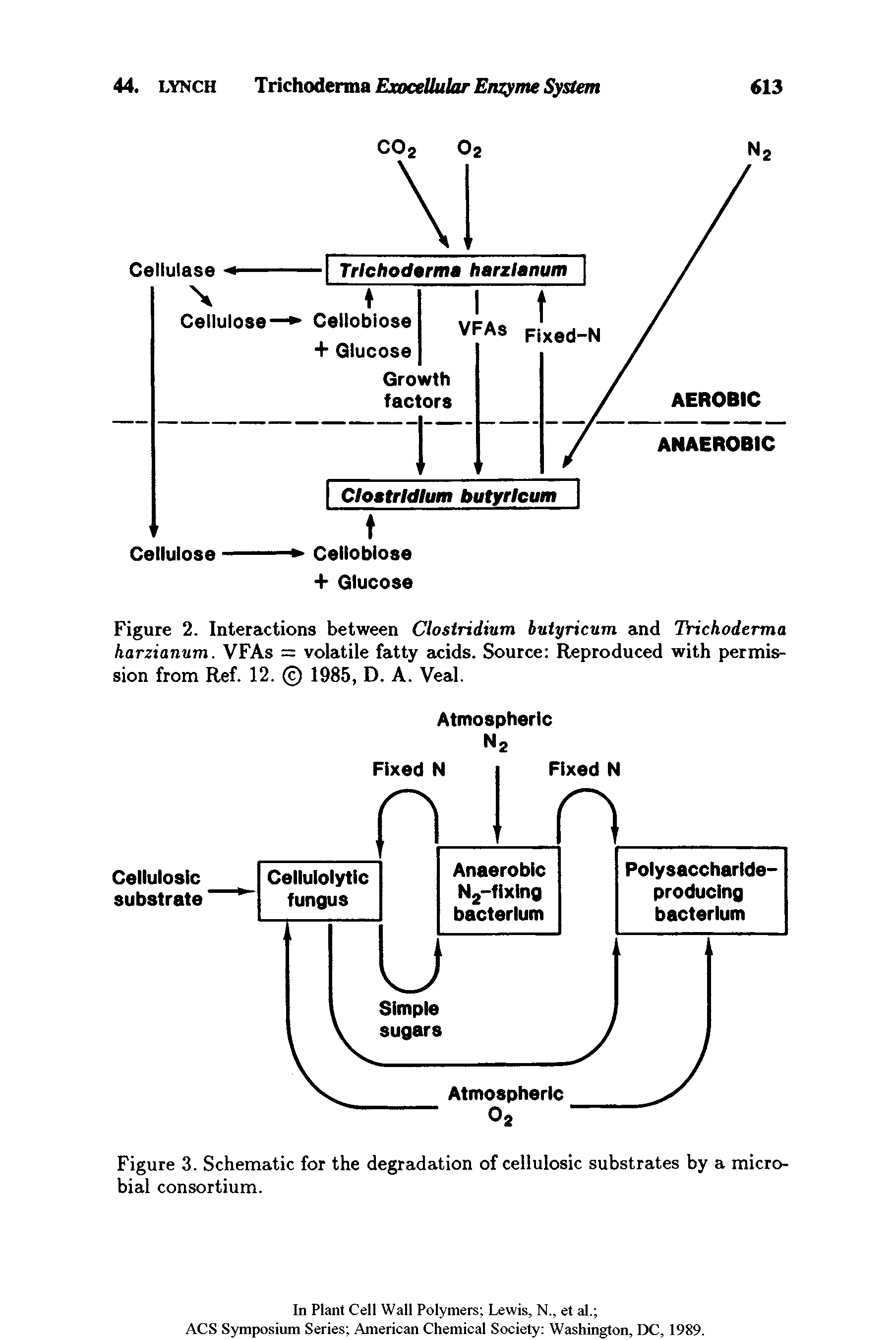Figure 2. Interactions between Clostridium butyricum and Trichoderma harzianum. VFAs = volatile fatty acids. Source Reproduced with permission from Ref. 12. 1985, D. A. Veal.