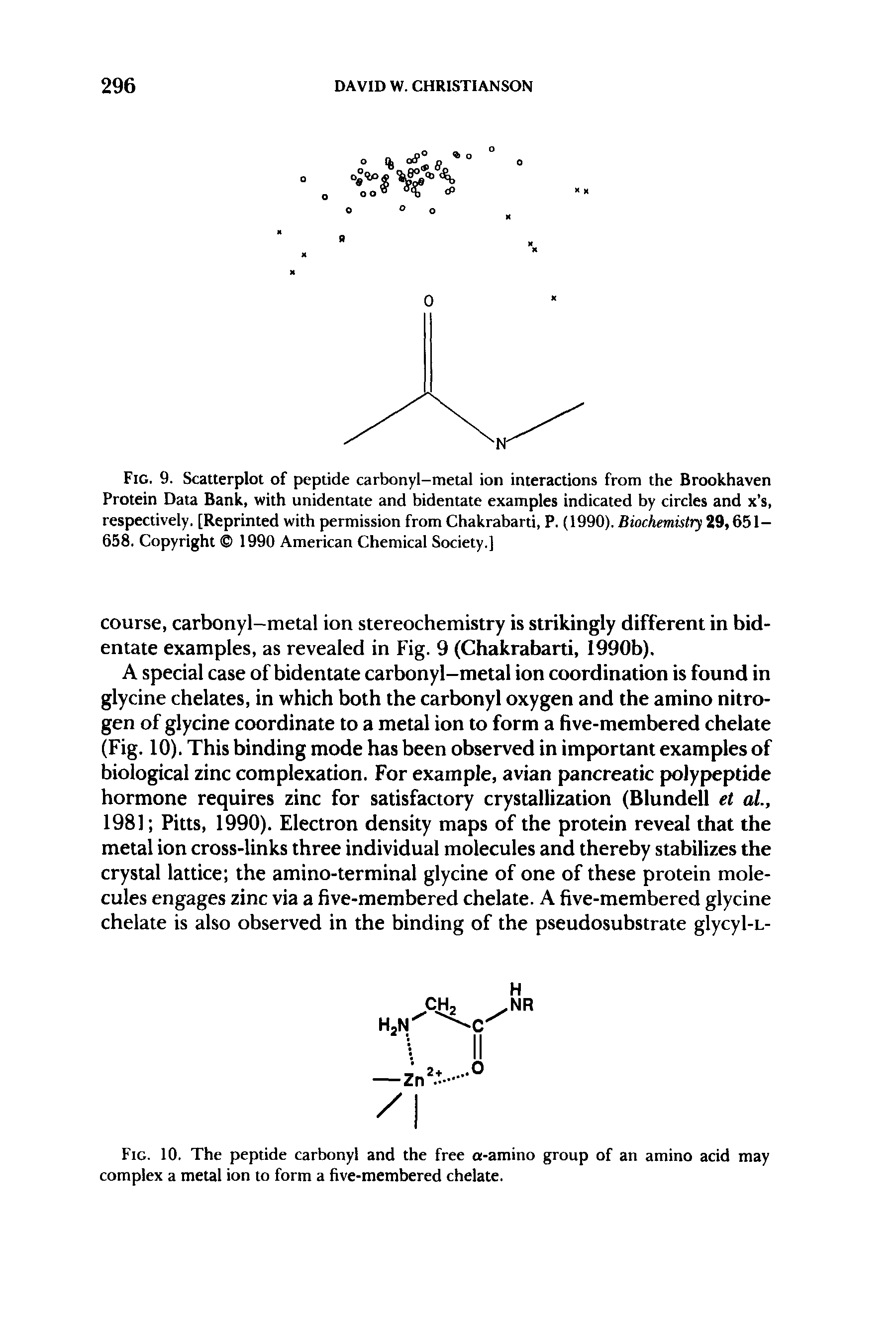 Fig. 10. The peptide carbonyl and the free a-amino group of an amino acid may complex a metal ion to form a five-membered chelate.