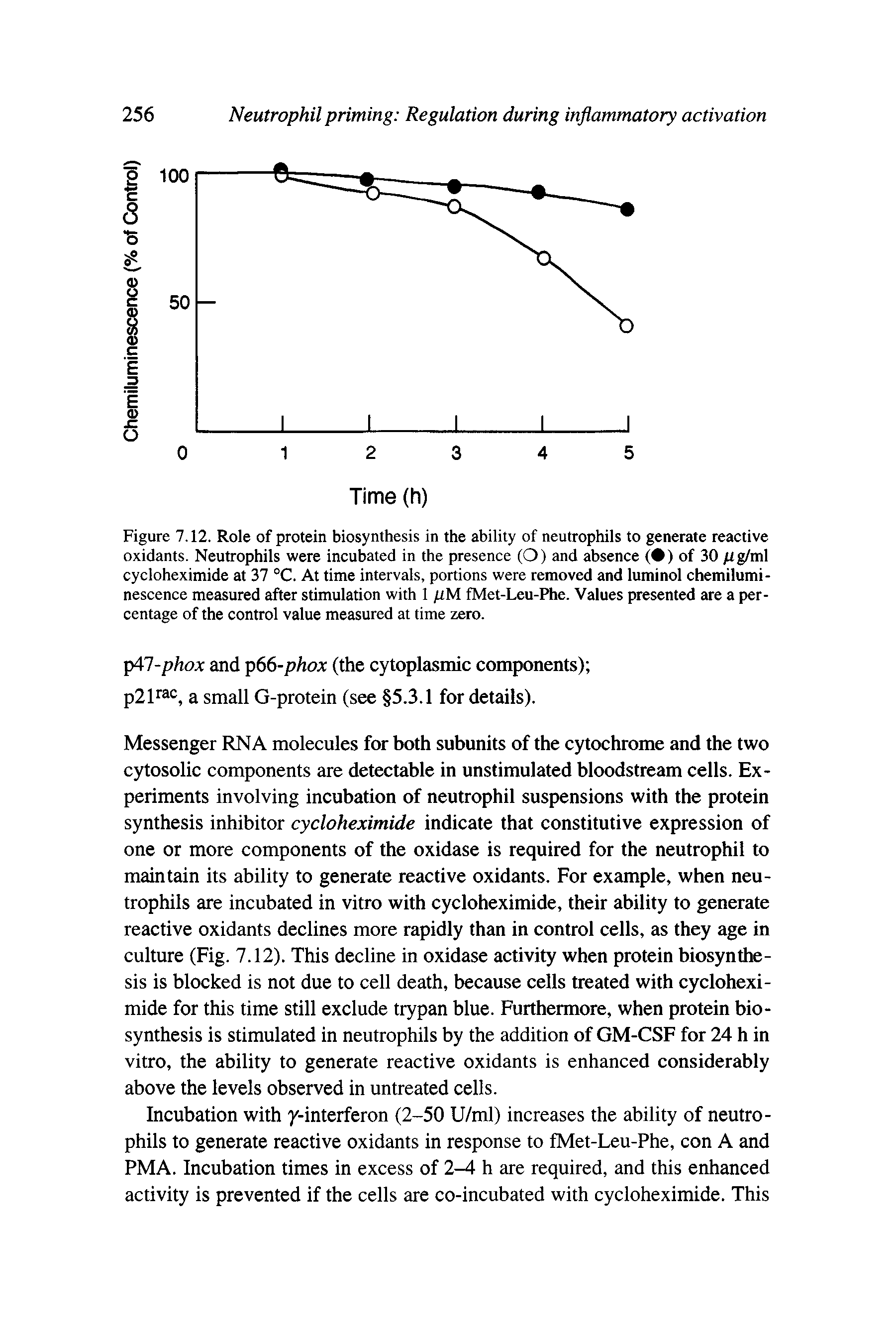 Figure 7.12. Role of protein biosynthesis in the ability of neutrophils to generate reactive oxidants. Neutrophils were incubated in the presence (O) and absence ( ) of 30 pg/ml cycloheximide at 37 °C. At time intervals, portions were removed and luminol chemiluminescence measured after stimulation with 1 pM fMet-Leu-Phe. Values presented are a percentage of the control value measured at time zero.