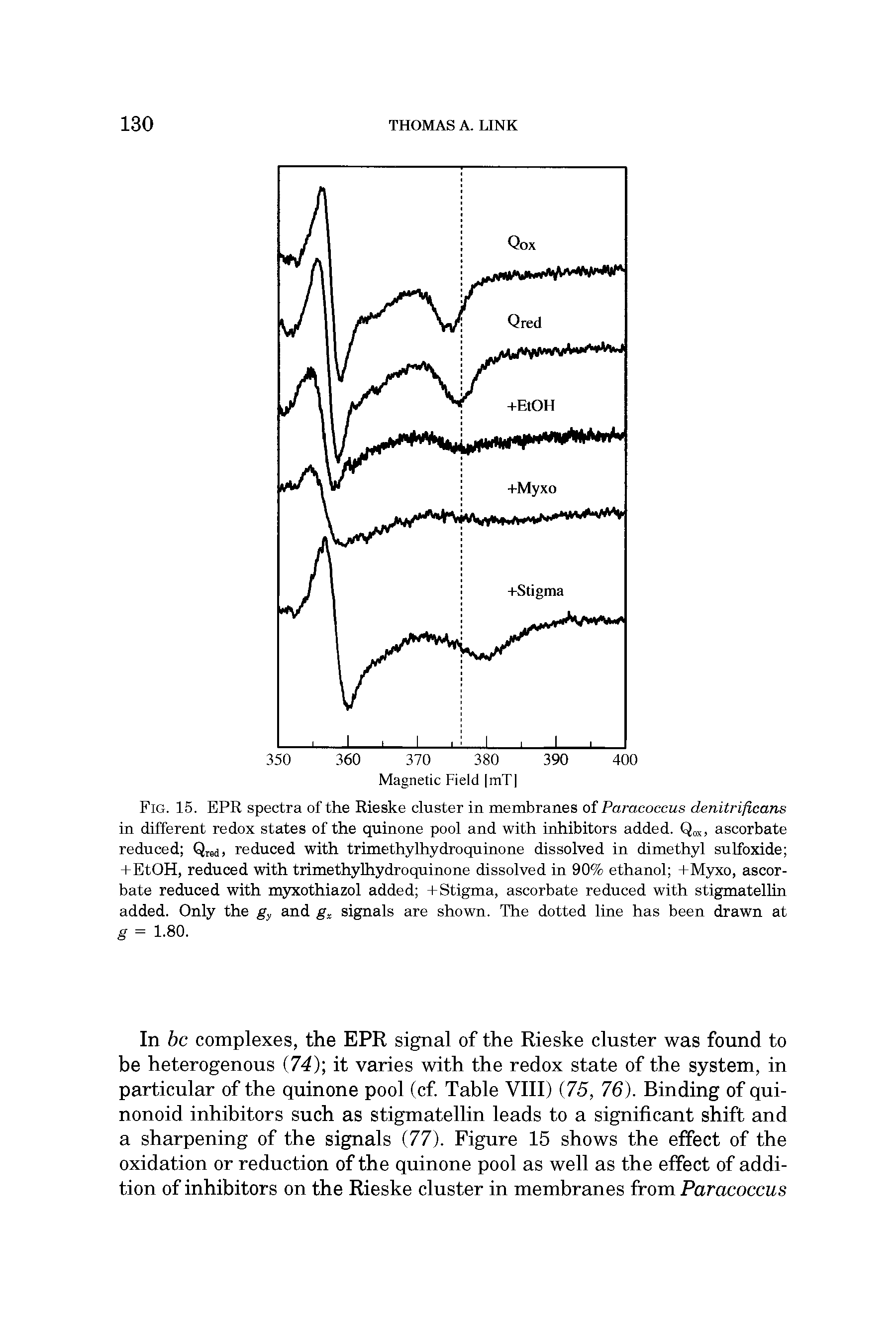 Fig. 15. EPR spectra of the Rieske cluster in membranes of Paracoccus denitrificans in different redox states of the quinone pool and with inhibitors added. Q x, ascorbate reduced Qred) reduced with trimethylhydroquinone dissolved in dimethyl sulfoxide +EtOH, reduced with trimethylhydroquinone dissolved in 90% ethanol +Myxo, ascorbate reduced with myxothiazol added + Stigma, ascorbate reduced with stigmatellin added. Only the gy and signals are shown. The dotted line has been drawn at...