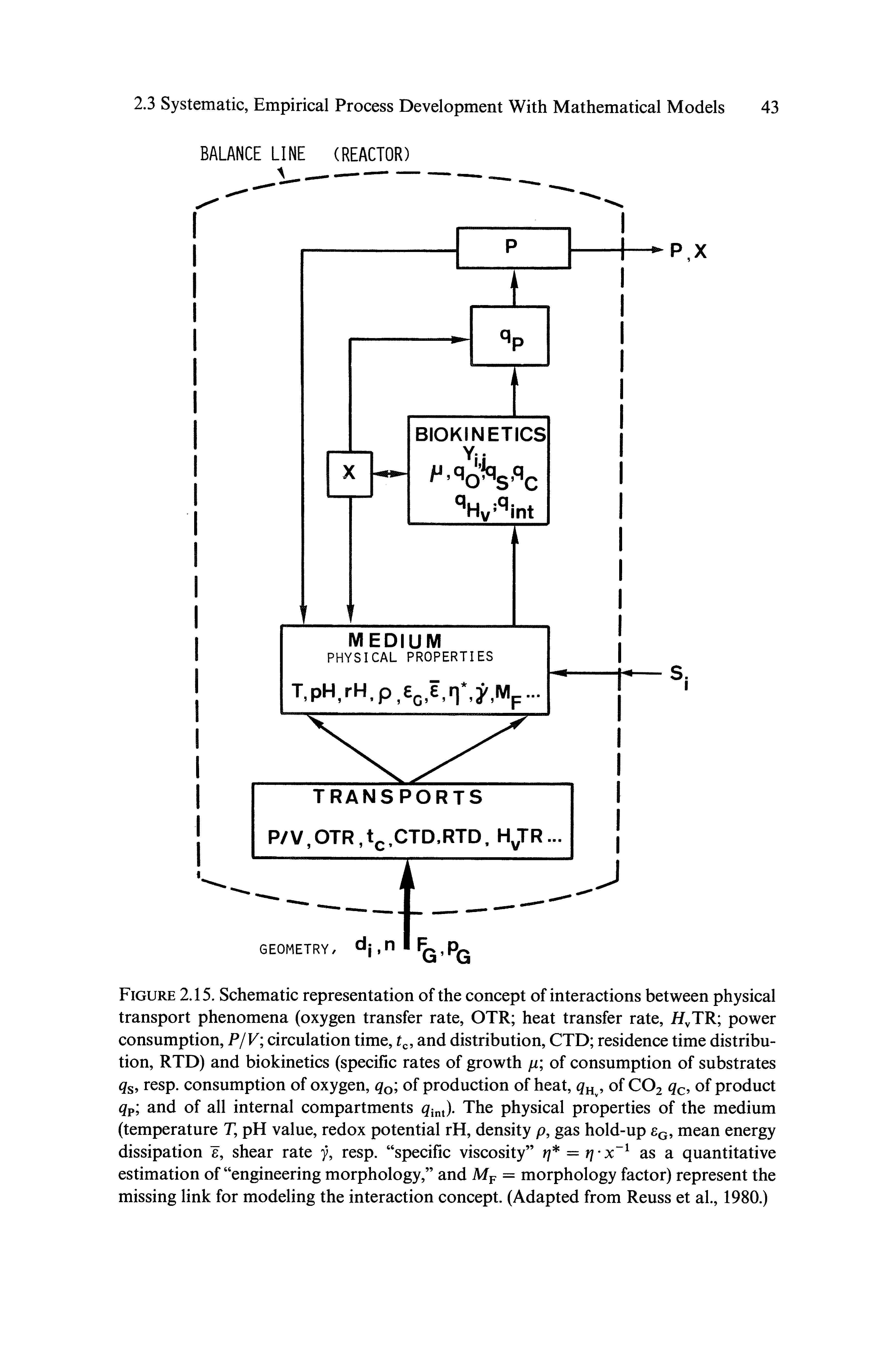 Figure 2.15. Schematic representation of the concept of interactions between physical transport phenomena (oxygen transfer rate, OTR heat transfer rate, H TR power consumption, P/V circulation time, and distribution, CTD residence time distribution, RTD) and biokinetics (specific rates of growth fi of consumption of substrates q, resp. consumption of oxygen, of production of heat,, of CO2 qc, of product qp and of all internal compartments (jinJ. The physical properties of the medium (temperature T, pH value, redox potential rH, density p, gas hold-up Eq, mean energy dissipation e, shear rate 7, resp. specific viscosity q — as a quantitative...