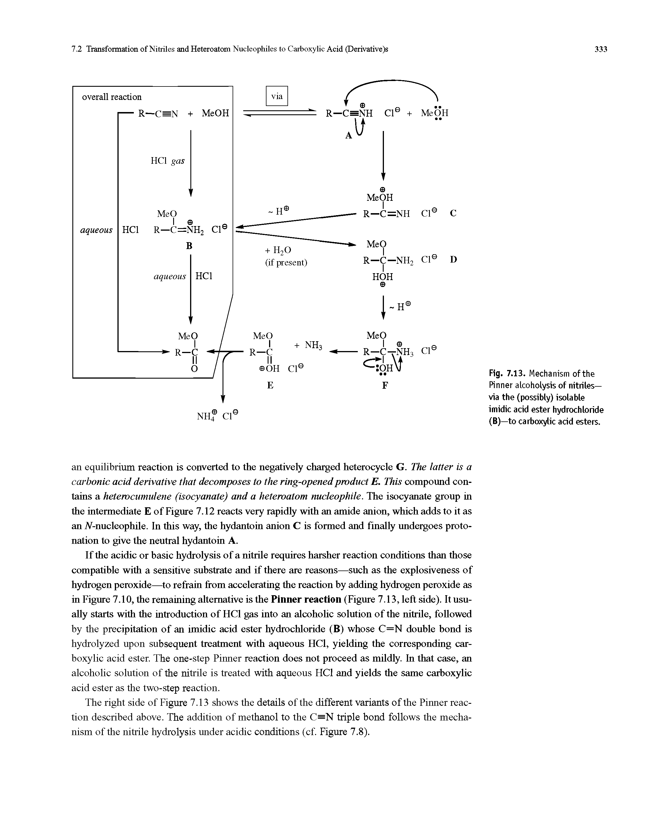 Fig. 7.13. Mechanism of the Pinner alcoholysis of nitriles— via the (possibly) isolable imidic acid ester hydrochloride (B)—to carboxylic acid esters.