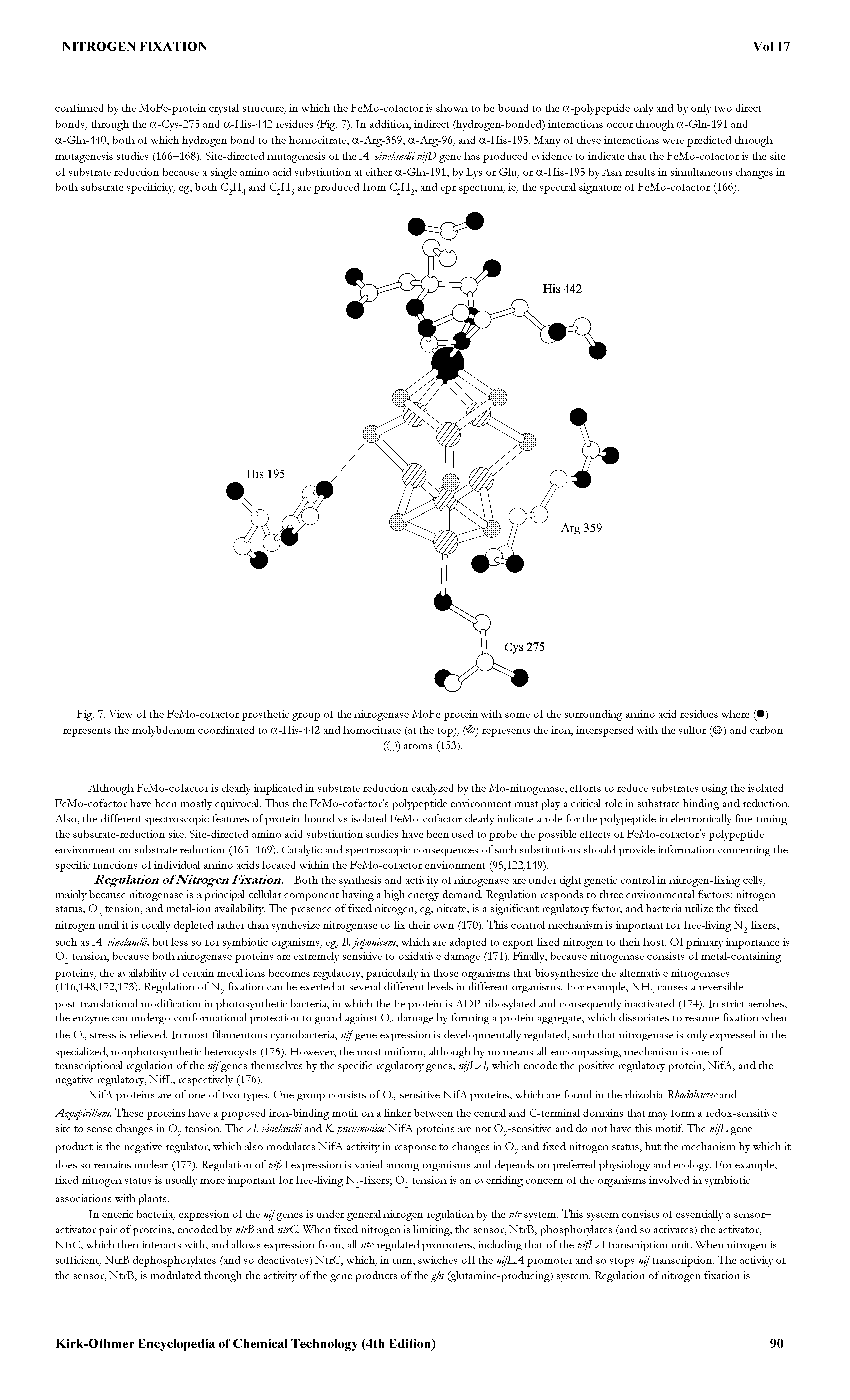 Fig. 7. View of the FeMo-cofactor prosthetic group of the nitrogenase MoFe protein with some of the surrounding amino acid residues where ( ) represents the molybdenum coordinated to a-His-442 and homocitrate (at the top), ( ) represents the iron, interspersed with the sulfur (O) and carbon...