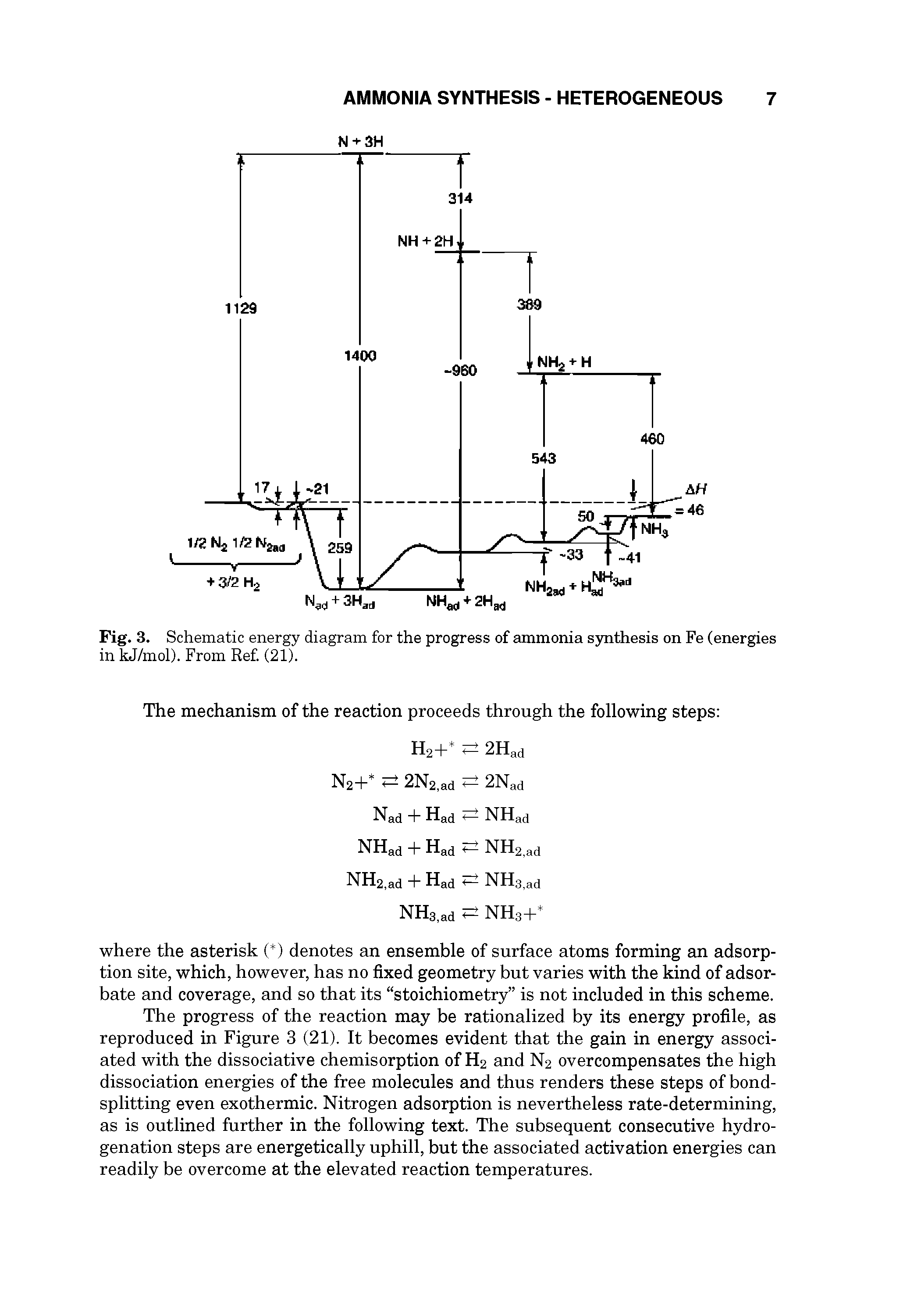 Fig. 3. Schematic energy diagram for the progress of ammonia synthesis on Fe (energies in kJ/mol). From Ref. (21).