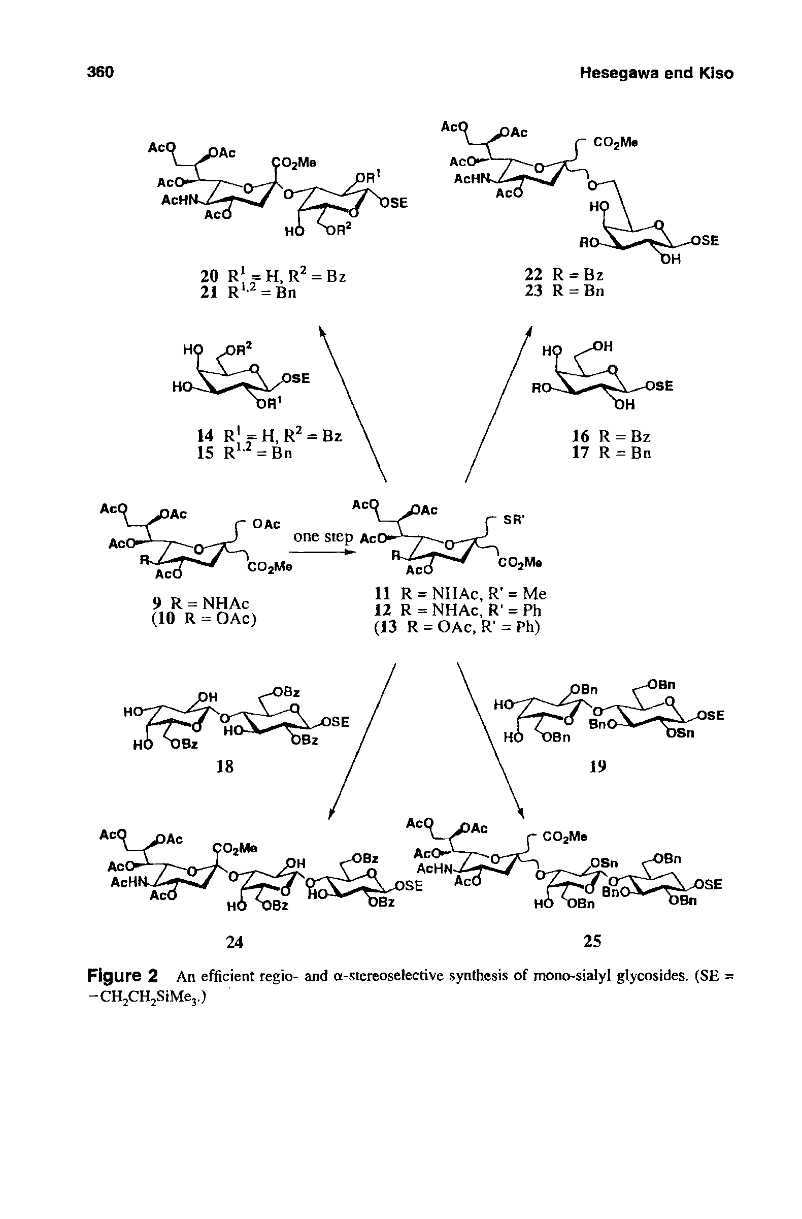 Figure 2 An efficient regio- and a-stereoselective synthesis of mono-sialyl glycosides. (SE = —CH2CH2SiMe3.)...