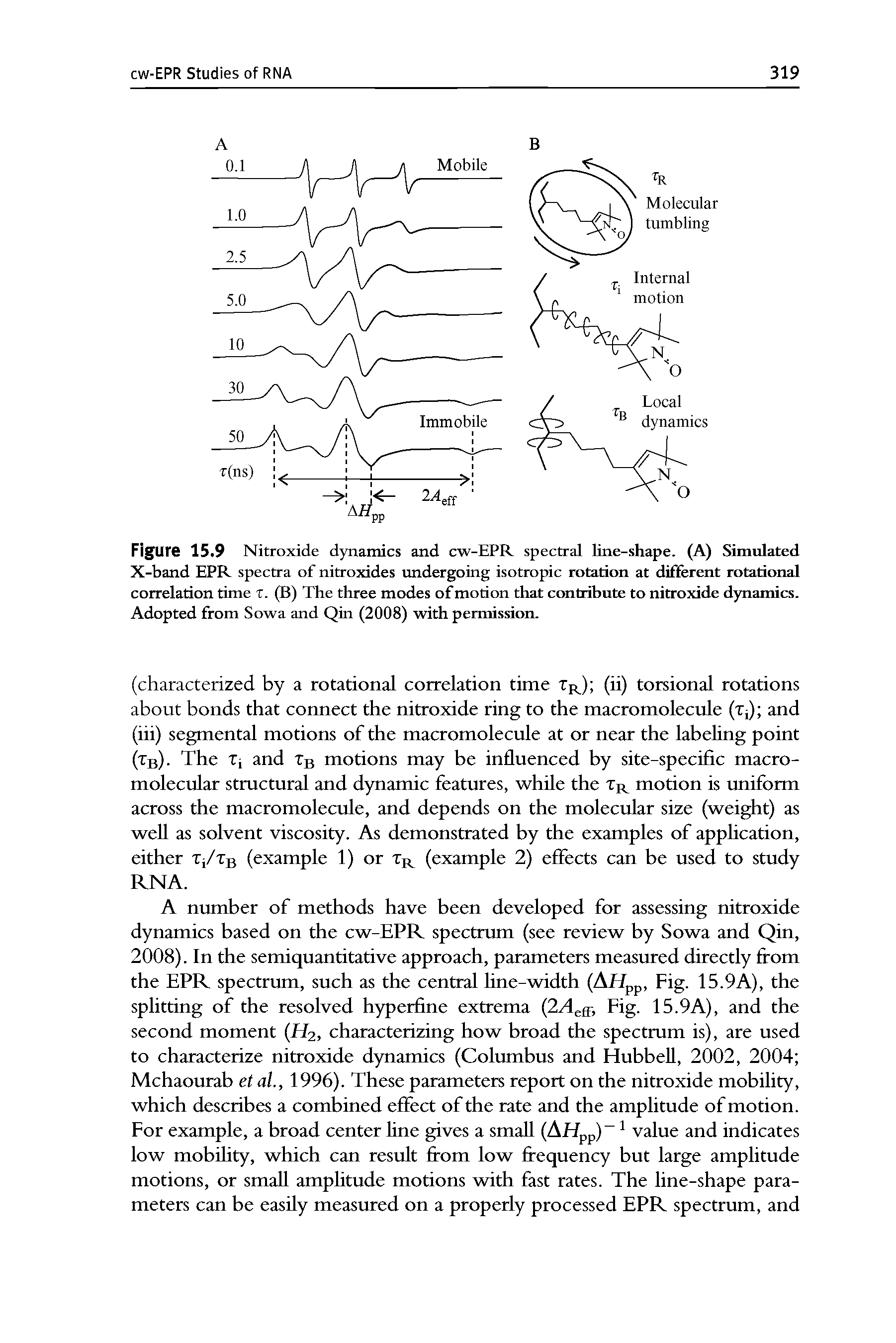 Figure 15.9 Nitroxide dynamics and cw-EPR spectral line-shape. (A) Simulated X-band EPR spectra of nitroxides undergoing isotropic rotation at different rotational correlation time x. (B) The three modes of motion that contribute to nitroxide dynamics. Adopted from Sowa and Qin (2008) with permission.