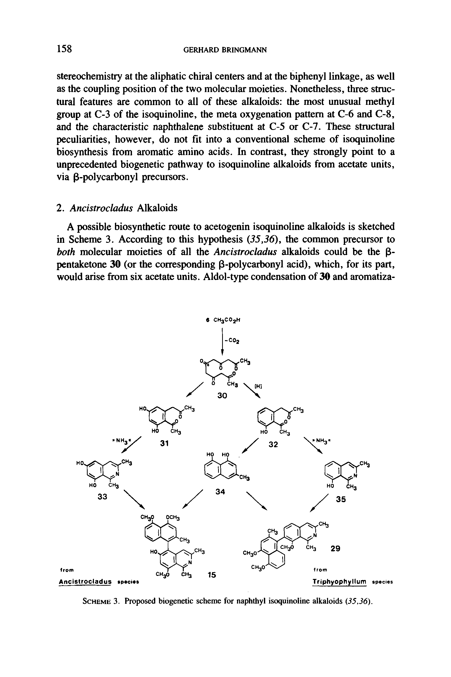 Scheme 3. Proposed biogenetic scheme for naphthyl isoquinoline alkaloids (S5,36).