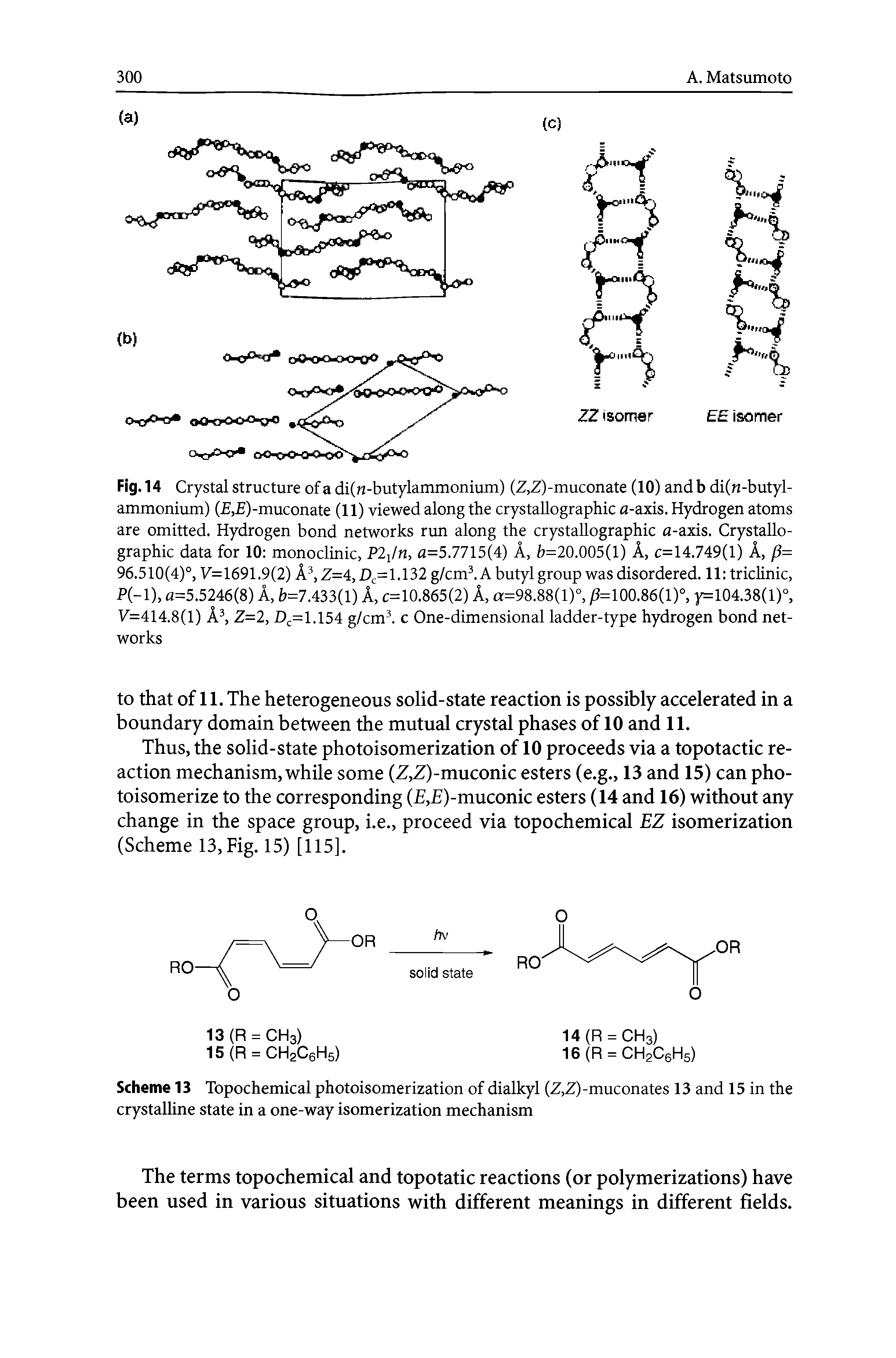 Scheme 13 Topochemical photoisomerization of dialkyl (Z,Z)-muconates 13 and 15 in the crystalline state in a one-way isomerization mechanism...