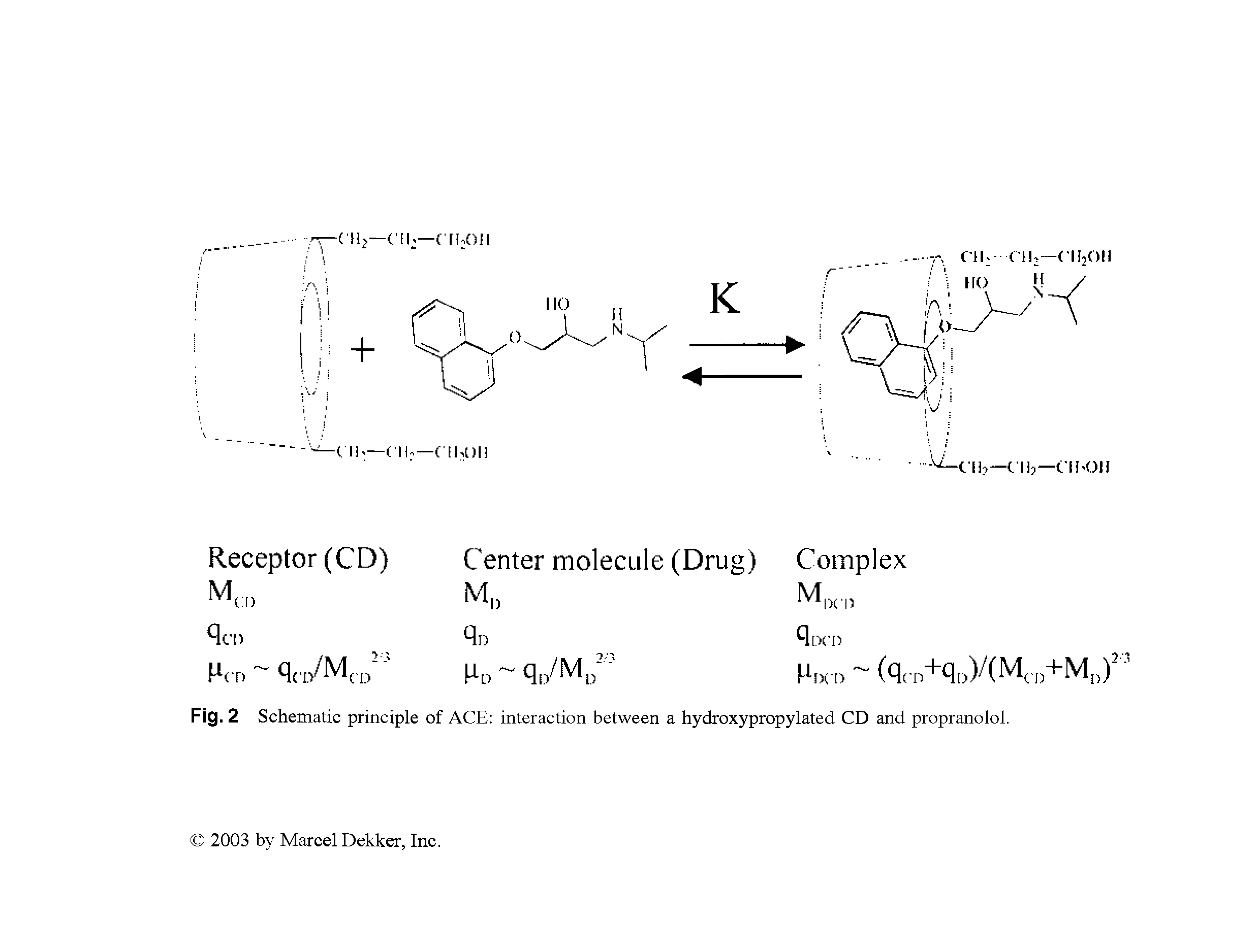 Schematic principle of ACE interaction between a hydroxypropylated CD and propranolol.