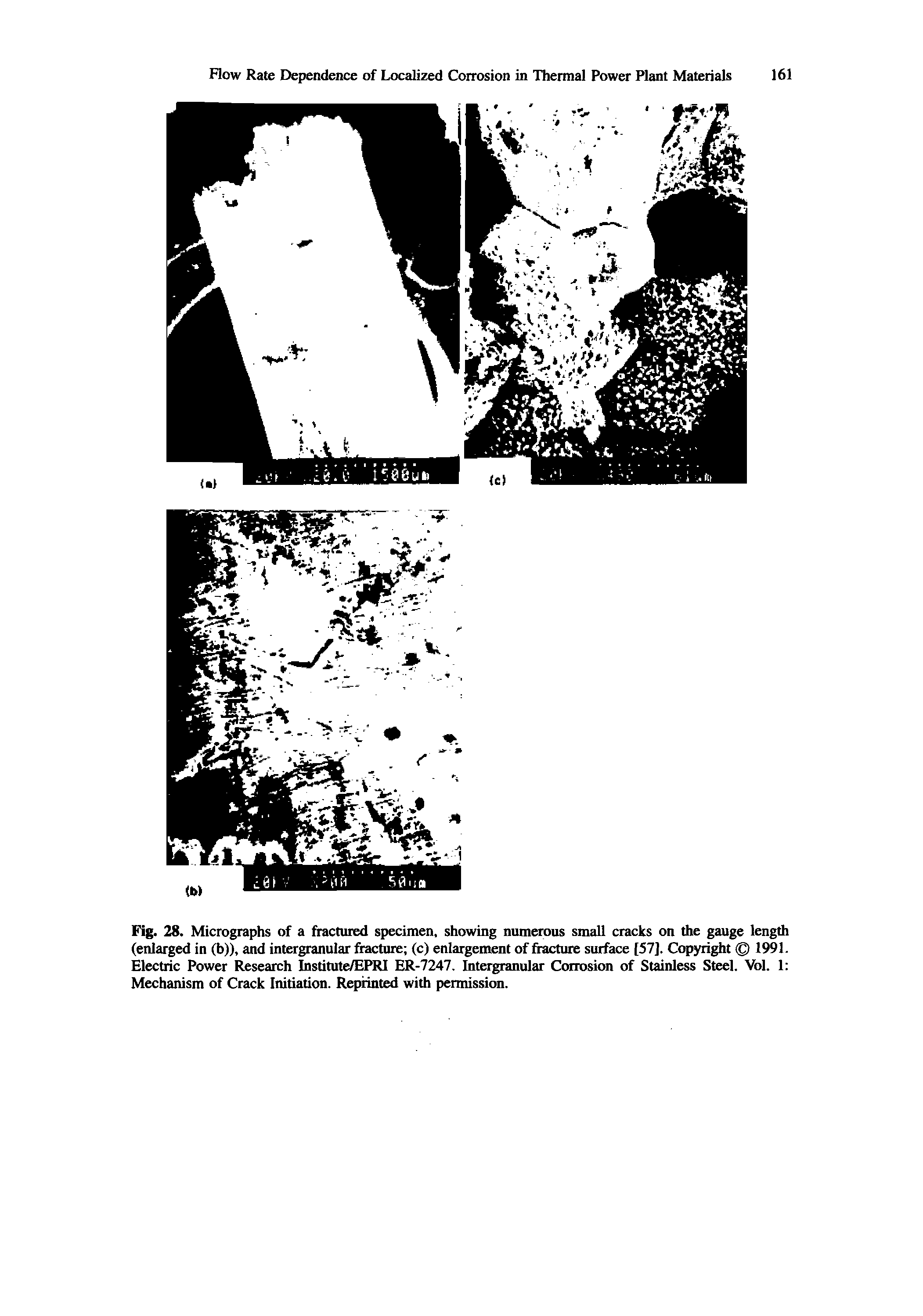 Fig. 28. Micrographs of a fractured specimen, showing numerous small cracks on the gauge length (enlarged in (b)), and intergranular fracture (c) enlargement of fracture surface [57]. Copyright 1991. Electric Power Research Institute/EPRl ER-7247. Intergranular Corrosion of Stainless Steel. Vol. 1 Mechanism of Crack Initiation. Reprinted with permission.