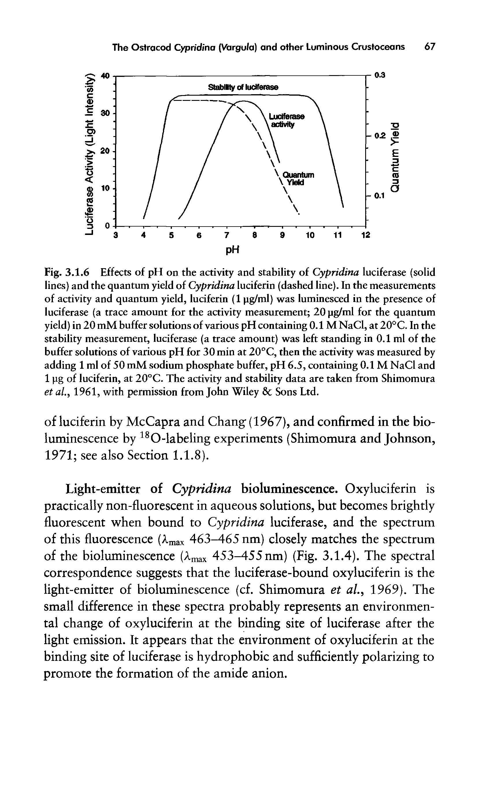 Fig. 3.1.6 Effects of pH on the activity and stability of Cypridina luciferase (solid lines) and the quantum yield of Cypridina luciferin (dashed line). In the measurements of activity and quantum yield, luciferin (1 pg/ml) was luminesced in the presence of luciferase (a trace amount for the activity measurement 20 pg/ml for the quantum yield) in 20 mM buffer solutions of various pH containing 0.1M NaCl, at 20°C. In the stability measurement, luciferase (a trace amount) was left standing in 0.1 ml of the buffer solutions of various pH for 30 min at 20°C, then the activity was measured by adding 1 ml of 50 mM sodium phosphate buffer, pH 6.5, containing 0.1 M NaCl and 1 pg of luciferin, at 20°C. The activity and stability data are taken from Shimomura et al., 1961, with permission from John Wiley 8c Sons Ltd.